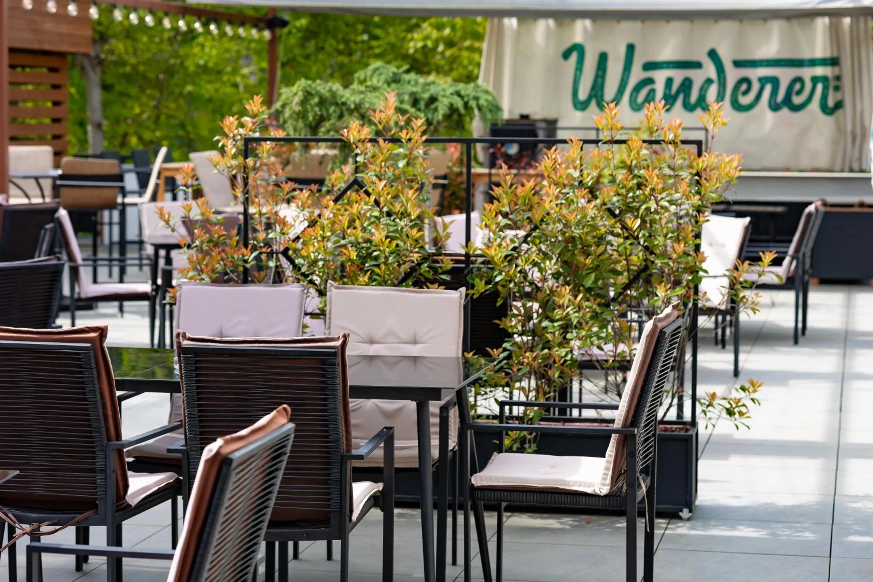 Balcony/Terrace in Wanderer Sighisoara