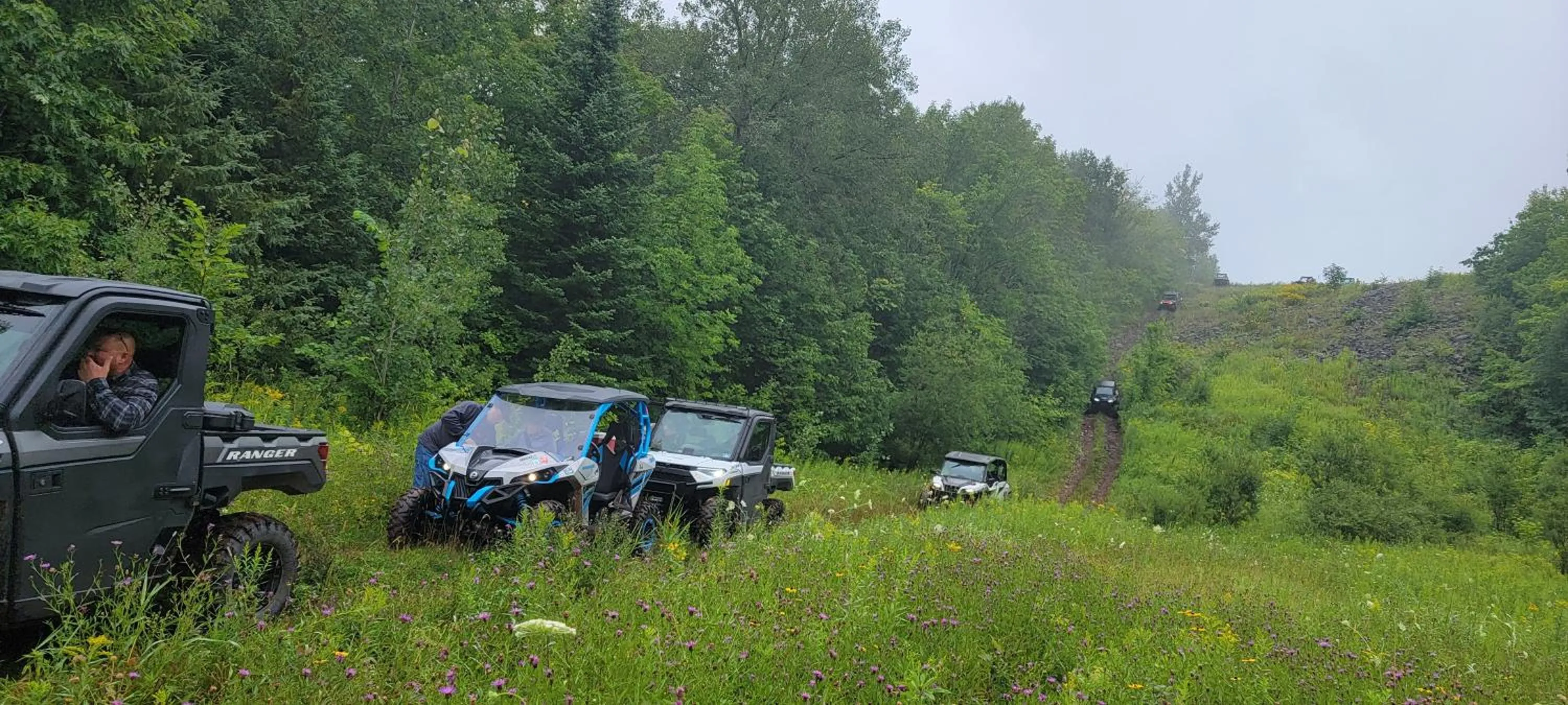 Natural landscape in Snow Chasers Lodge