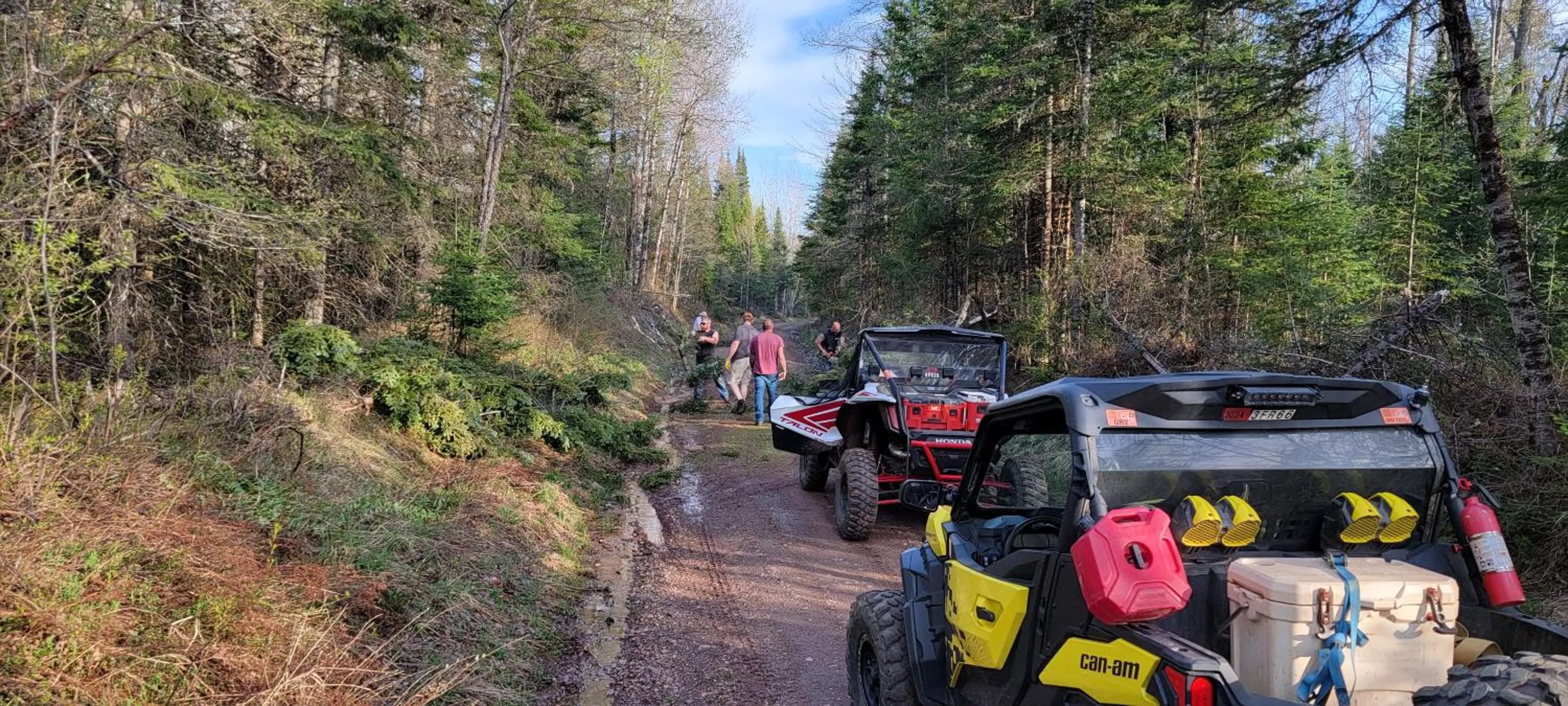 Spring in Snow Chasers Lodge