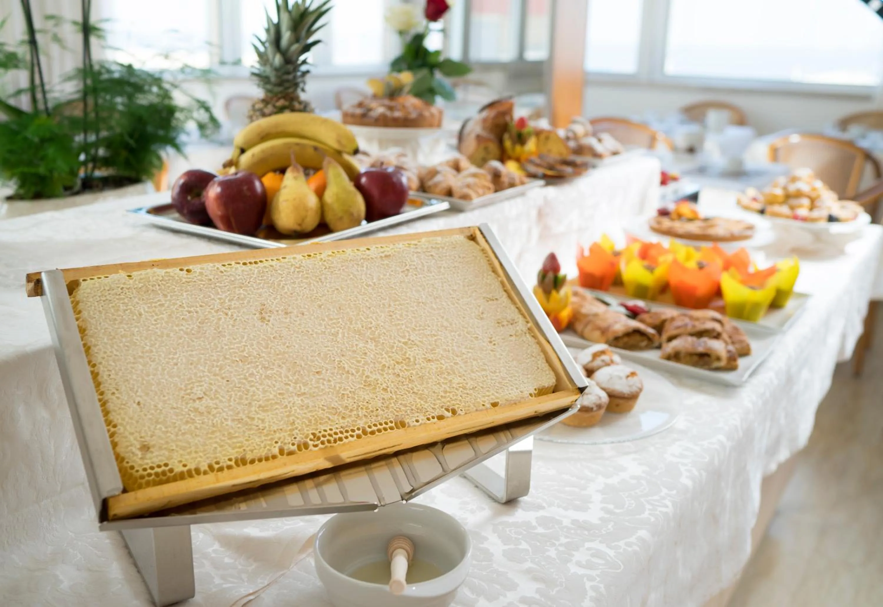 Restaurant/places to eat in Hotel Ascot & Spa