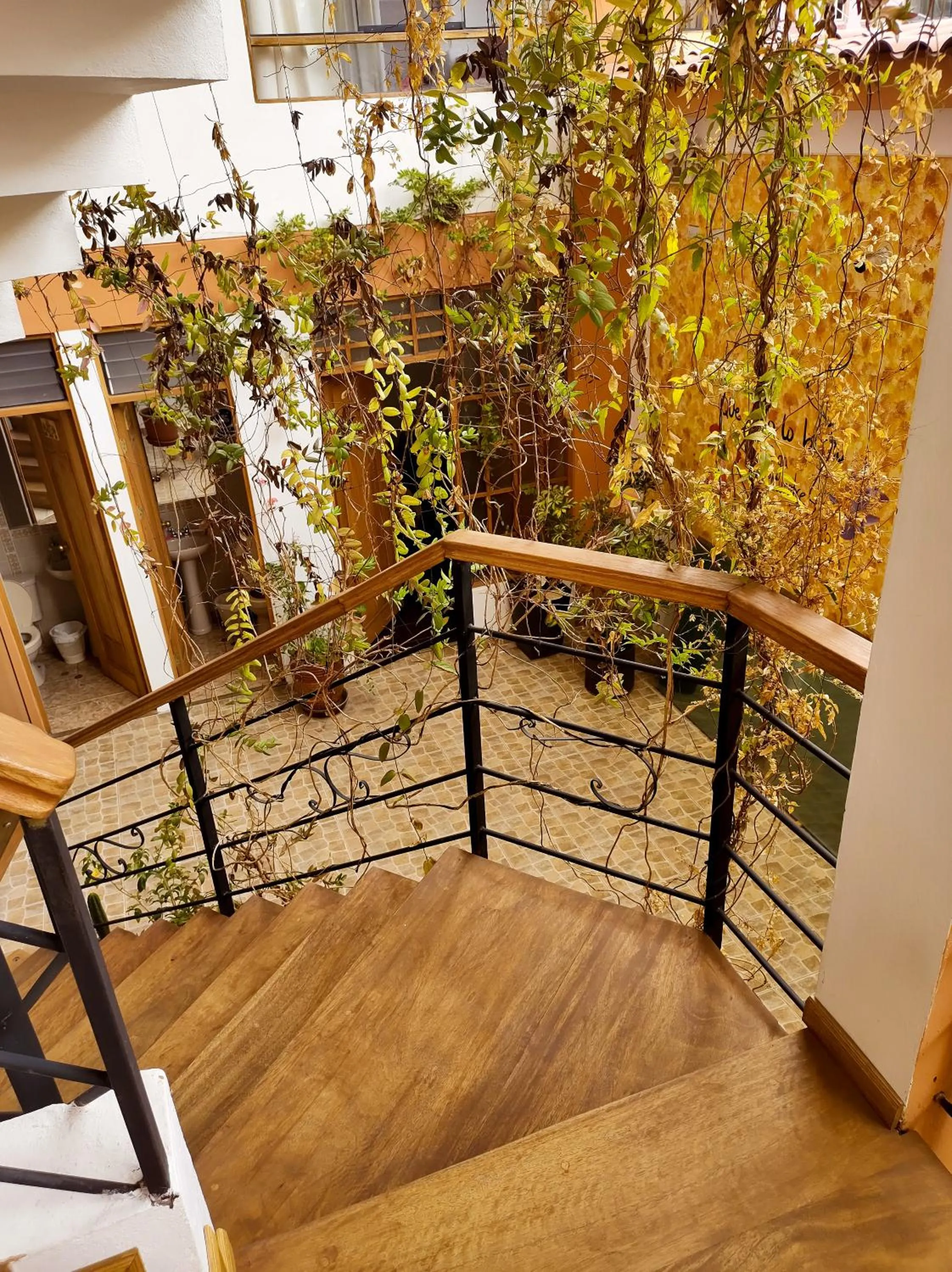 Property building in Eco Bunnu Inn