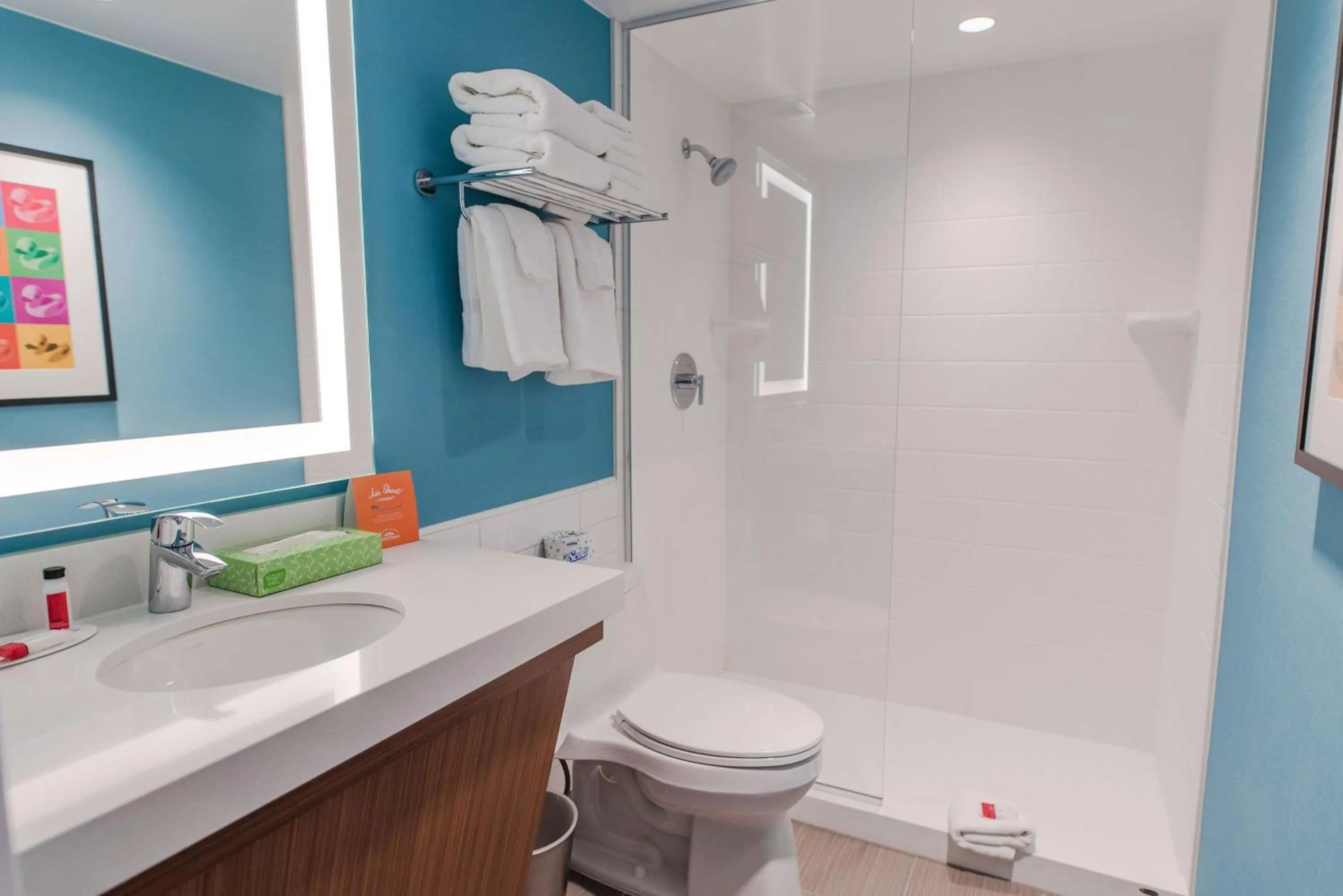 Bathroom in Howard Johnson by Wyndham Anaheim Hotel and Water Playground