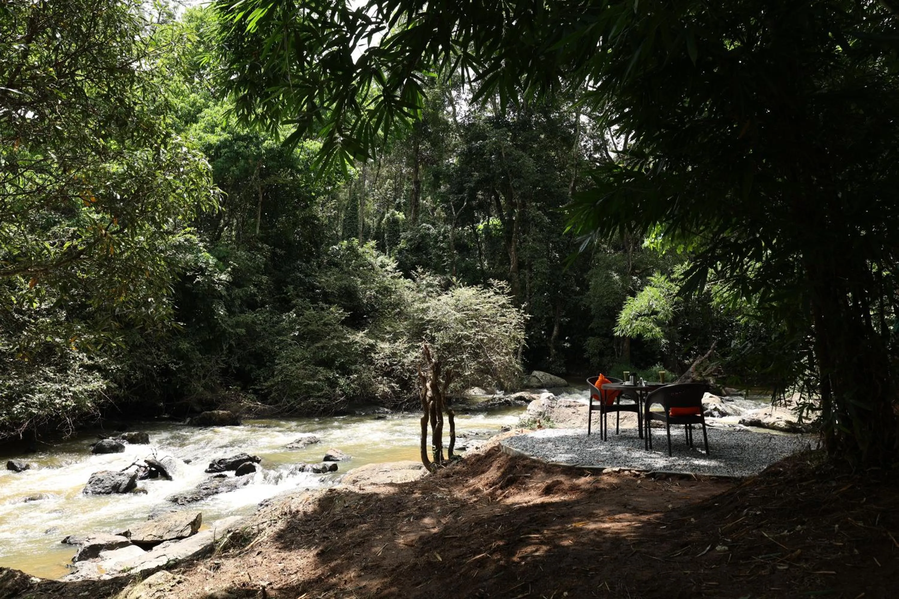 Natural landscape in Avadale Coorg - Stag Groups Not Allowed