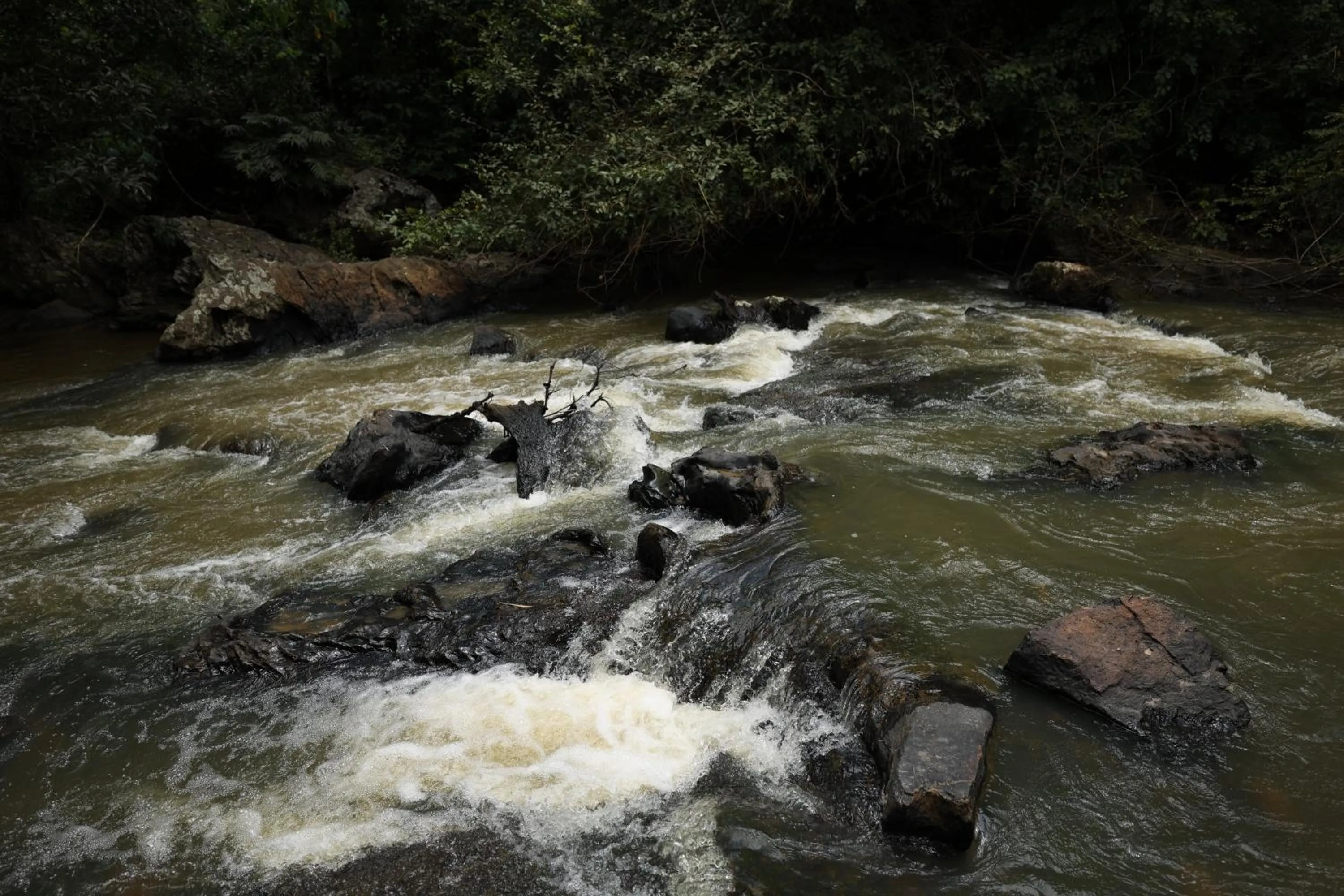 Natural landscape in Avadale Coorg - Stag Groups Not Allowed