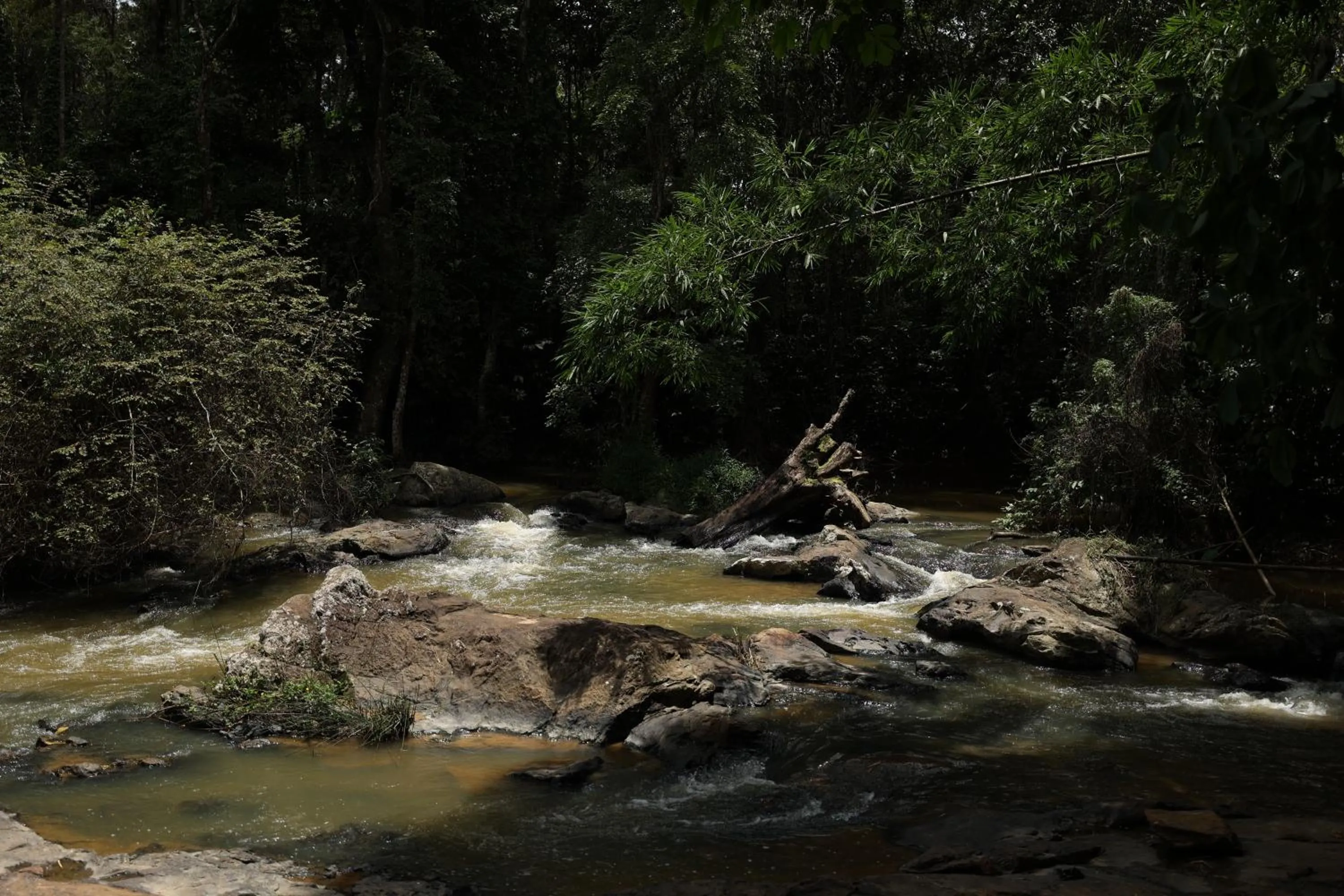 Natural landscape in Avadale Coorg - Stag Groups Not Allowed