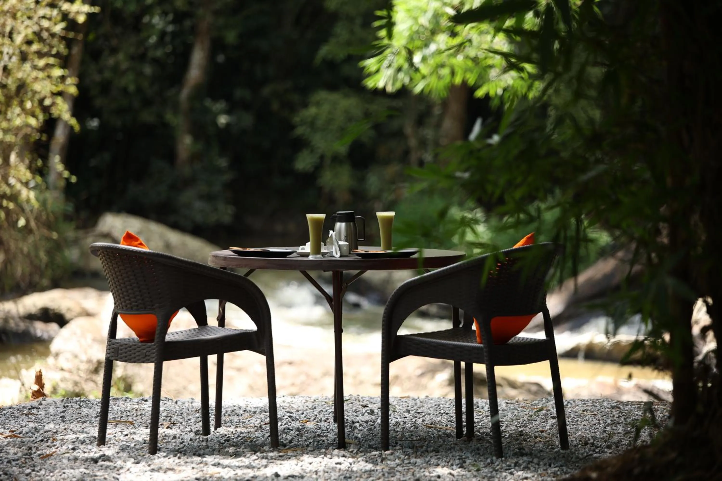 Natural landscape in Avadale Coorg - Stag Groups Not Allowed