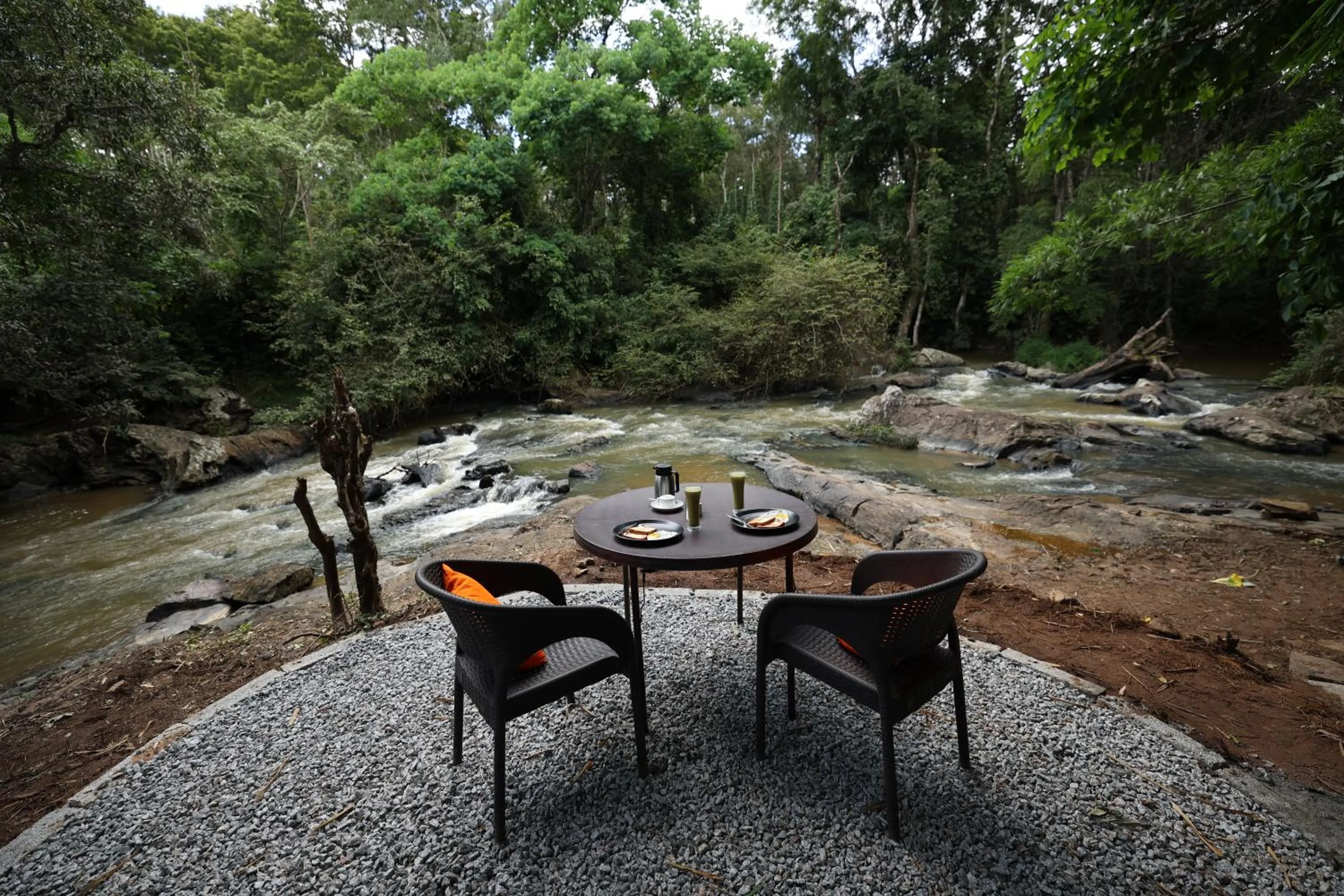 Natural landscape in Avadale Coorg - Stag Groups Not Allowed