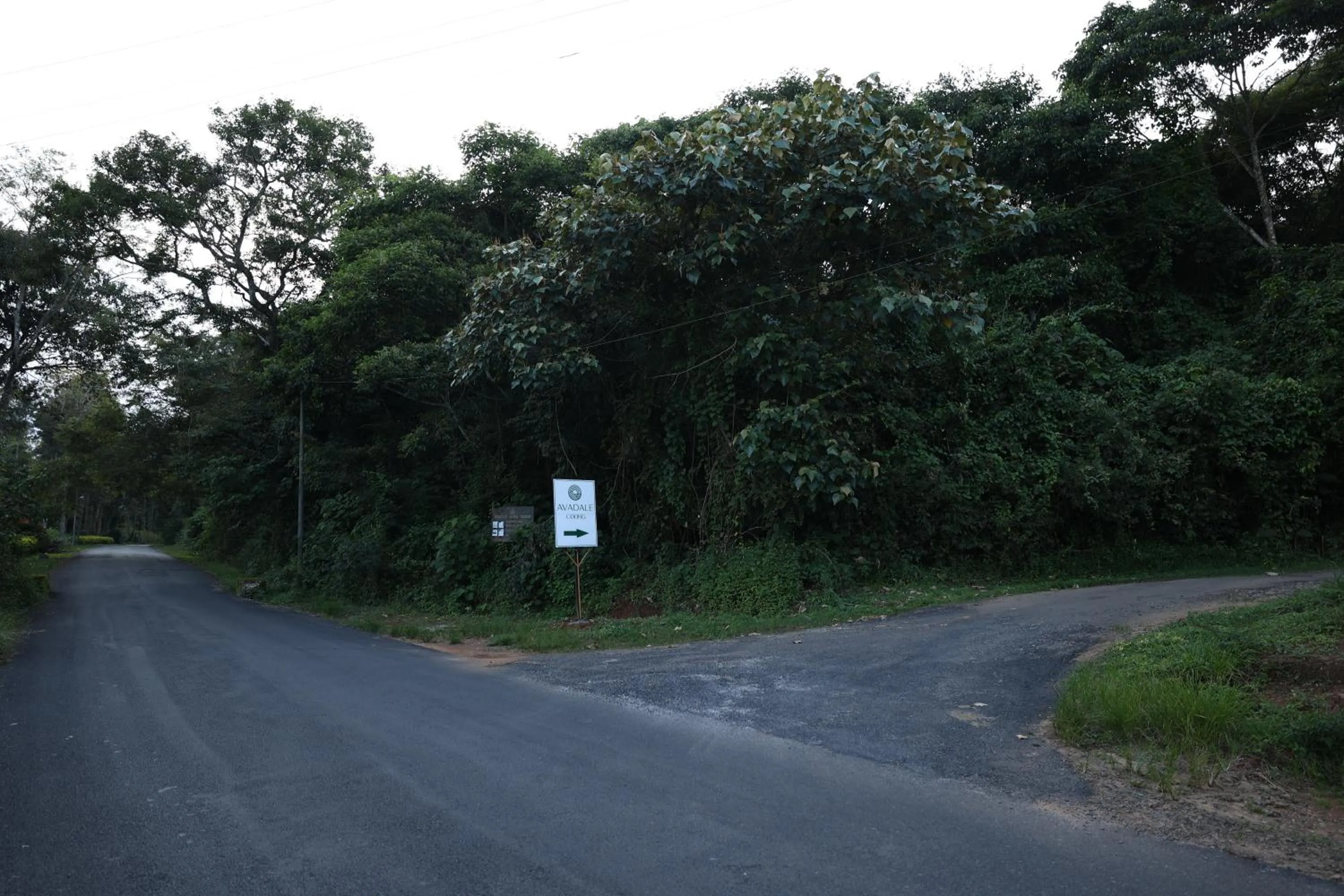 Street view in Avadale Coorg - Stag Groups Not Allowed