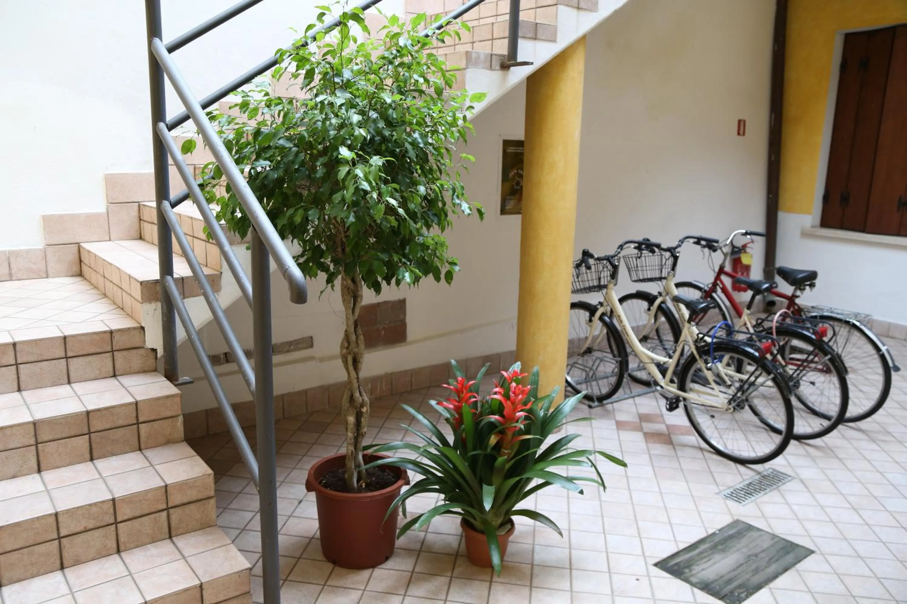 Area and facilities in Hotel Mantegna Stazione, MantegnaHotels