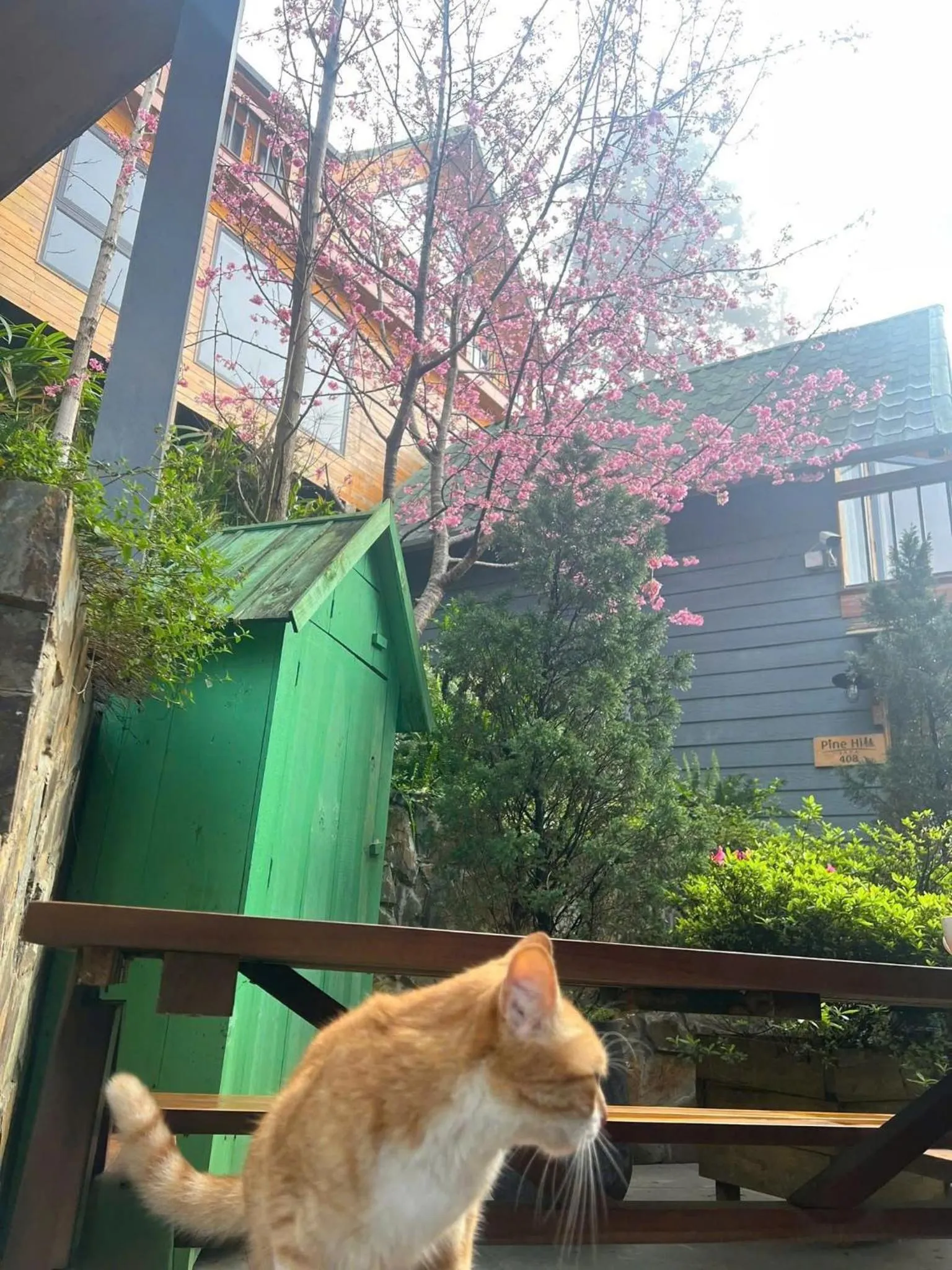 Property building in Sapa Pine Hill Eco Lodge