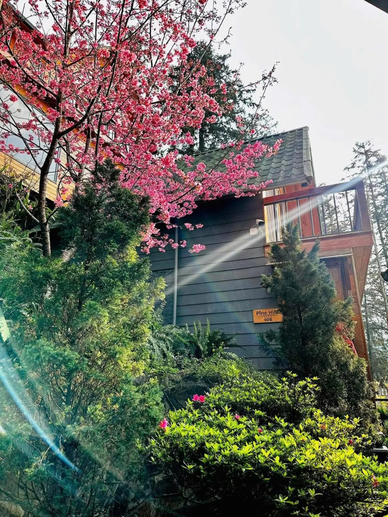 Property building in Sapa Pine Hill Eco Lodge