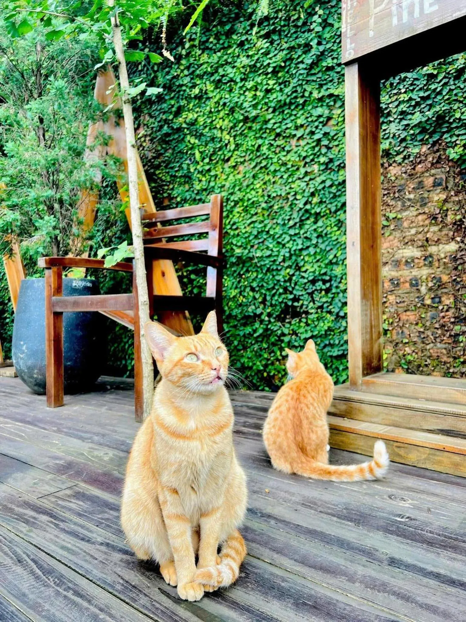 Property building in Sapa Pine Hill Eco Lodge