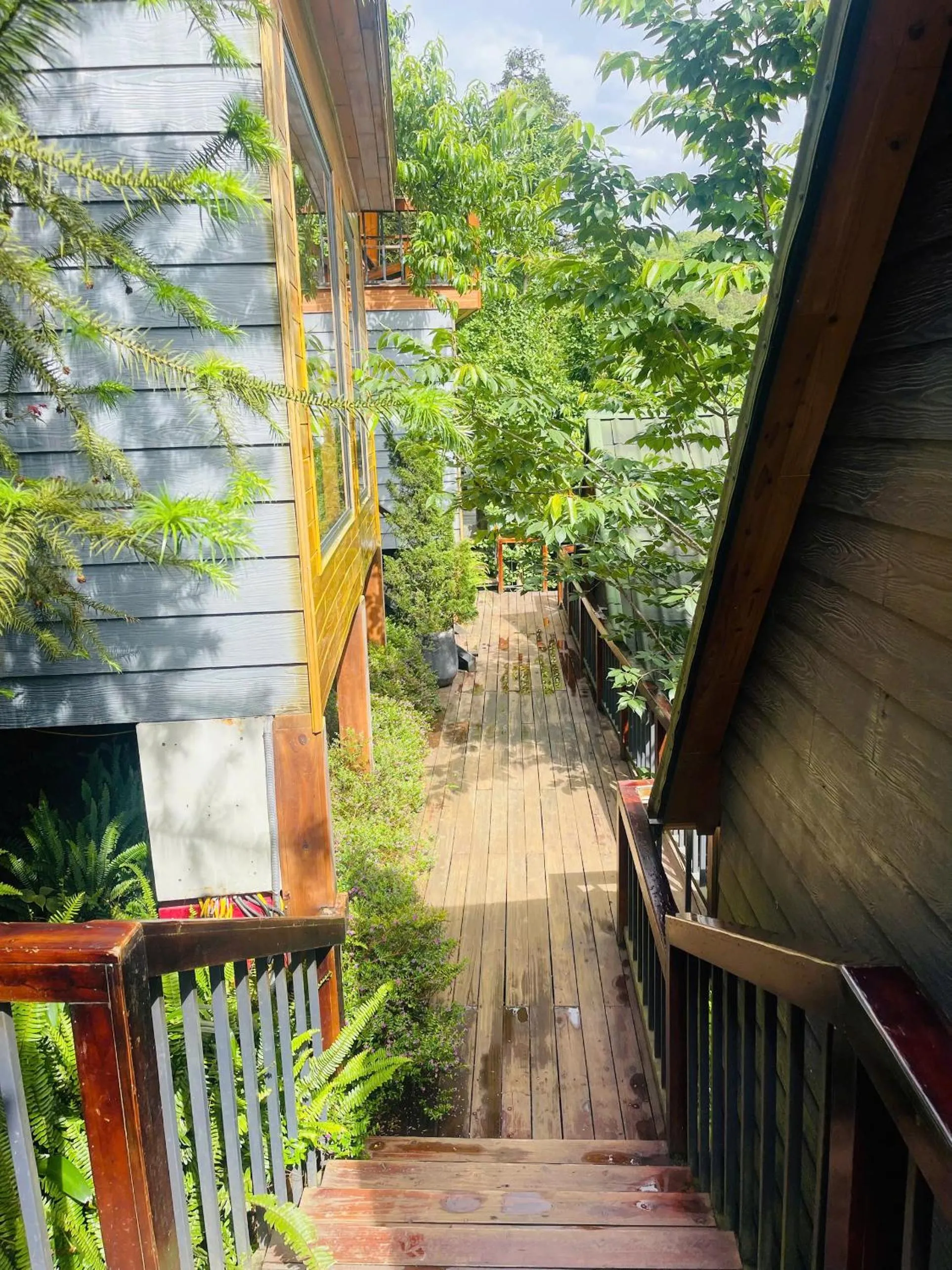 Natural landscape in Sapa Pine Hill Eco Lodge