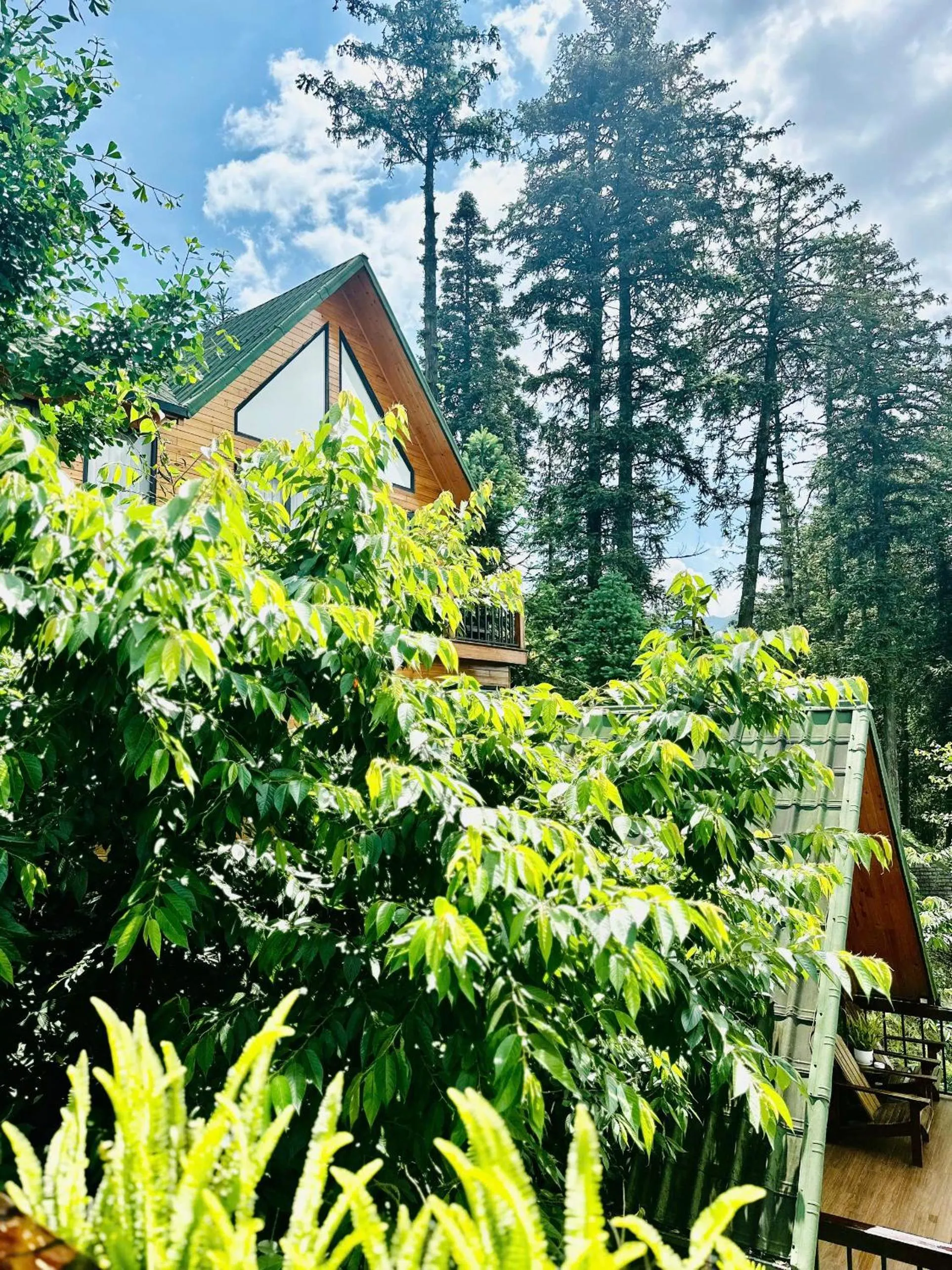 Property building in Sapa Pine Hill Eco Lodge