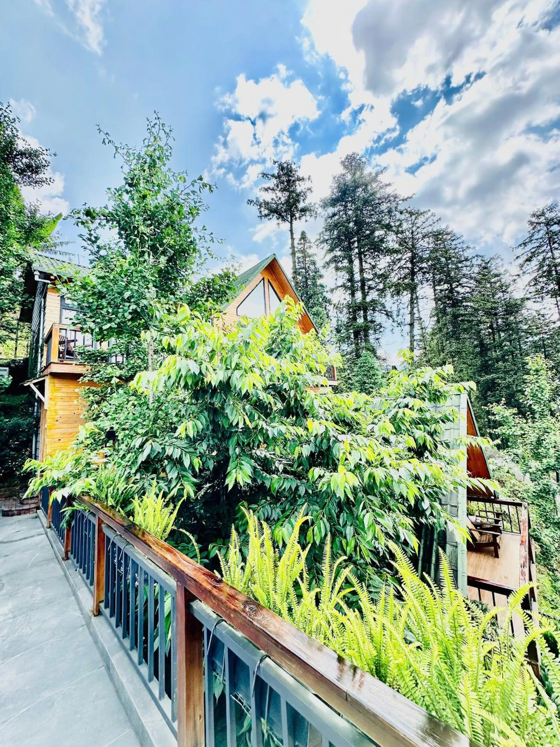 Property building in Sapa Pine Hill Eco Lodge