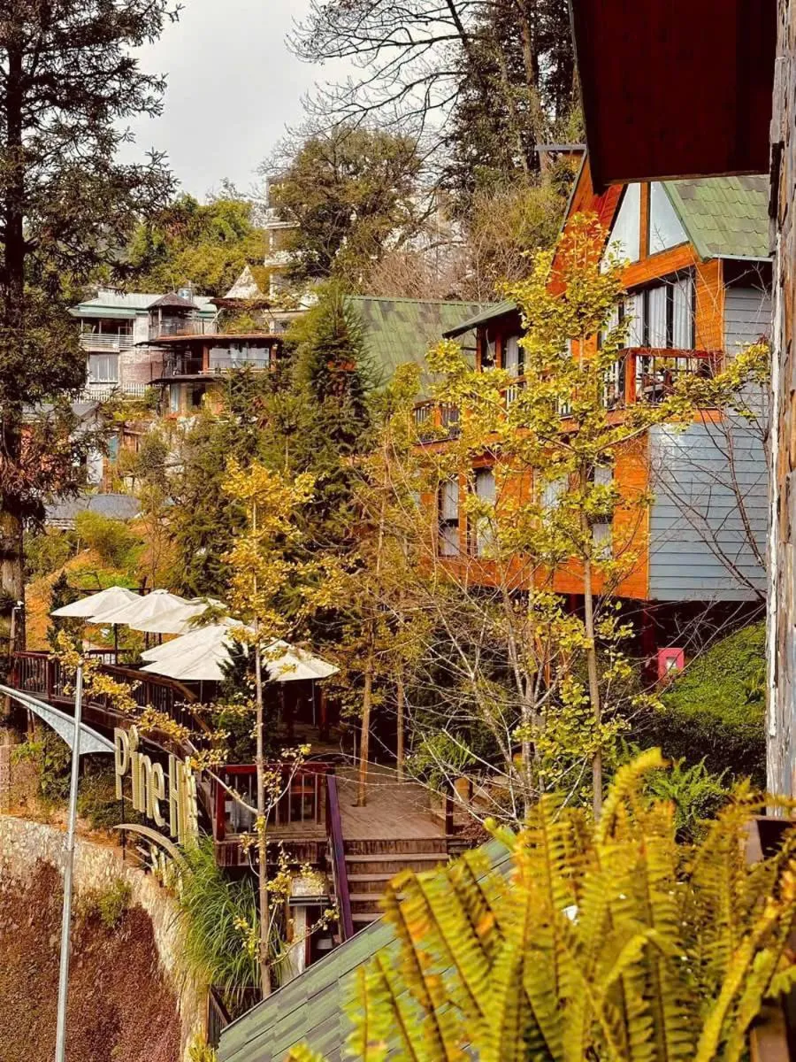 Property building in Sapa Pine Hill Eco Lodge