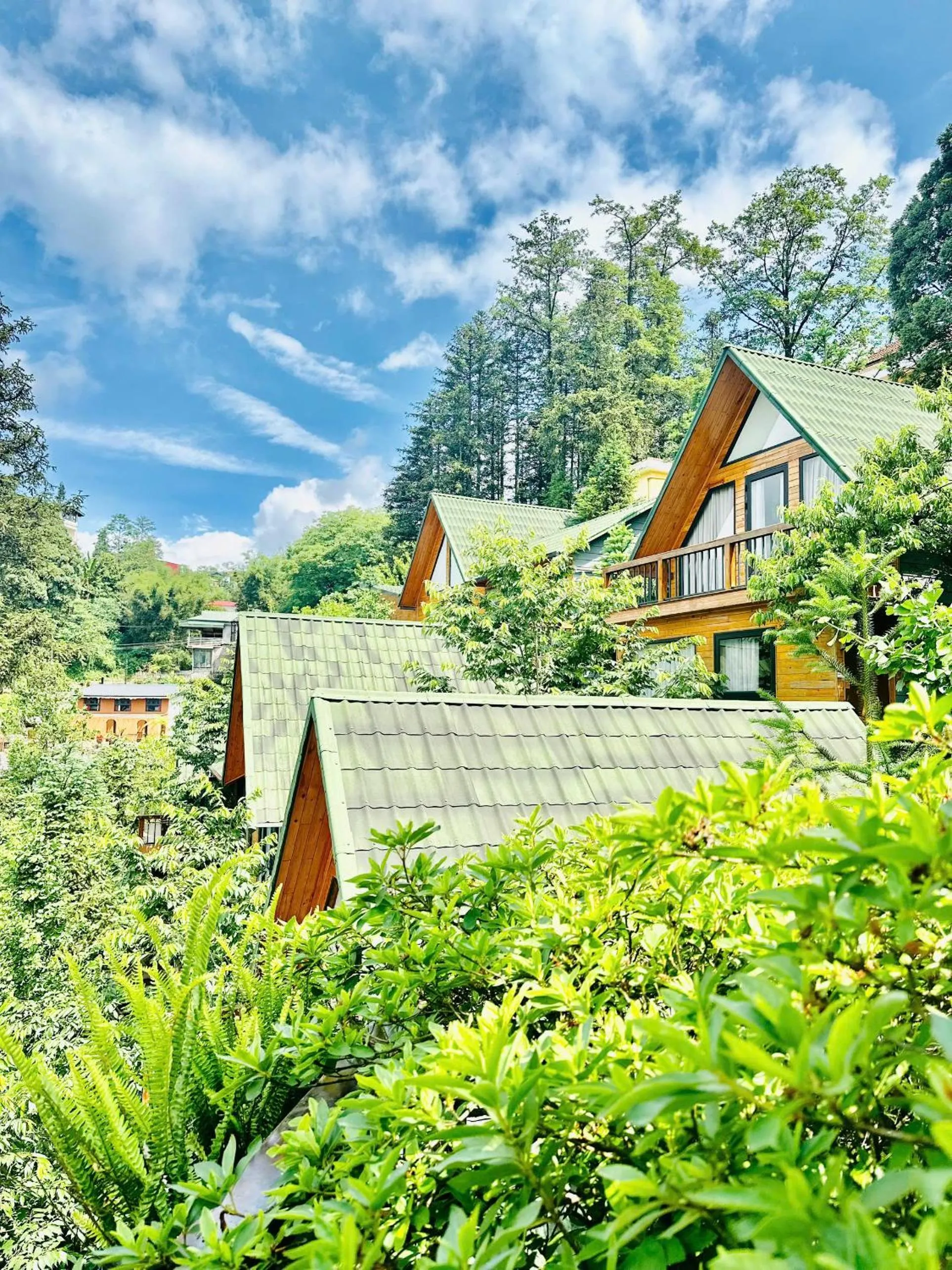 Natural landscape in Sapa Pine Hill Eco Lodge