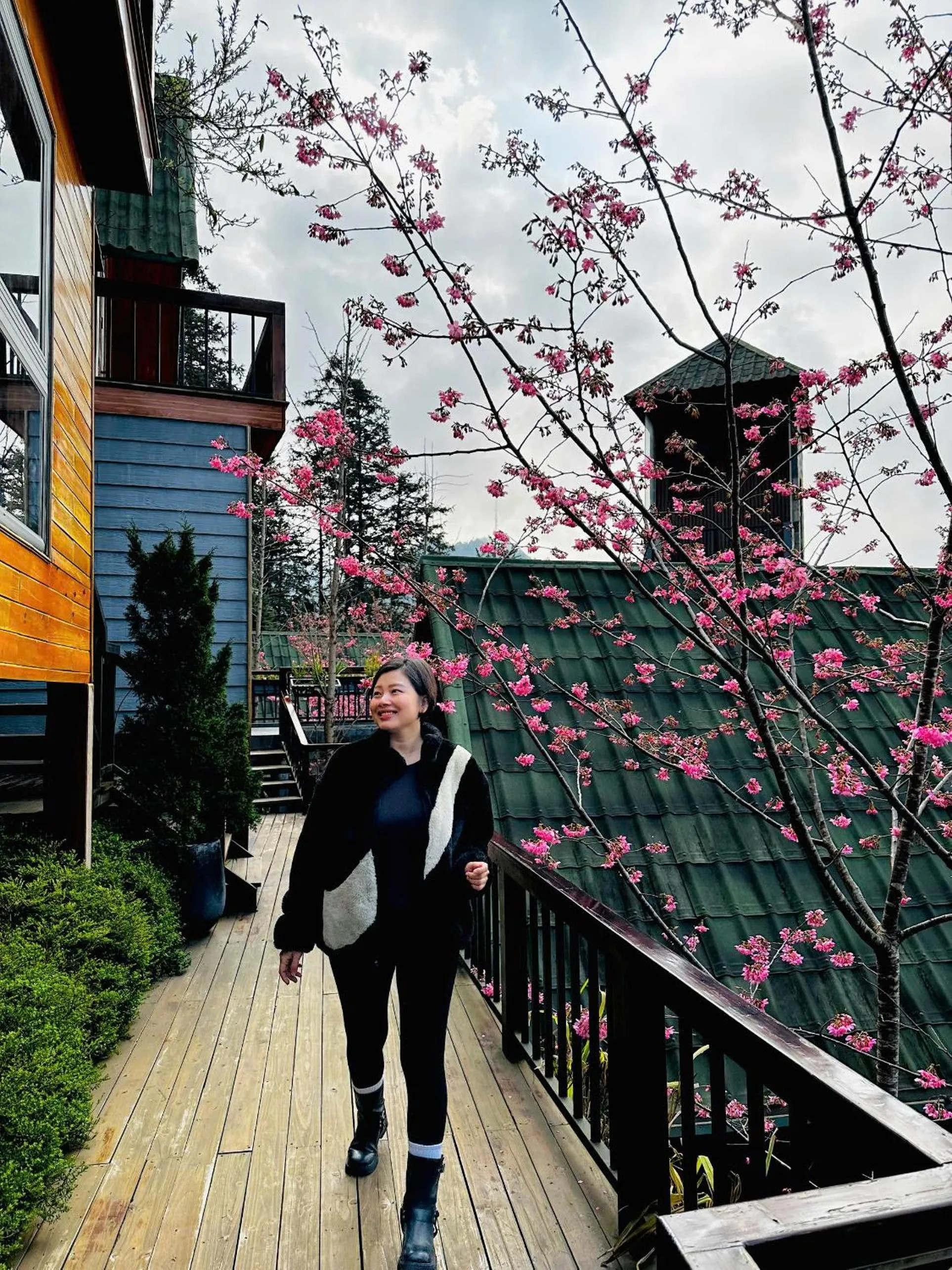 Property building in Sapa Pine Hill Eco Lodge