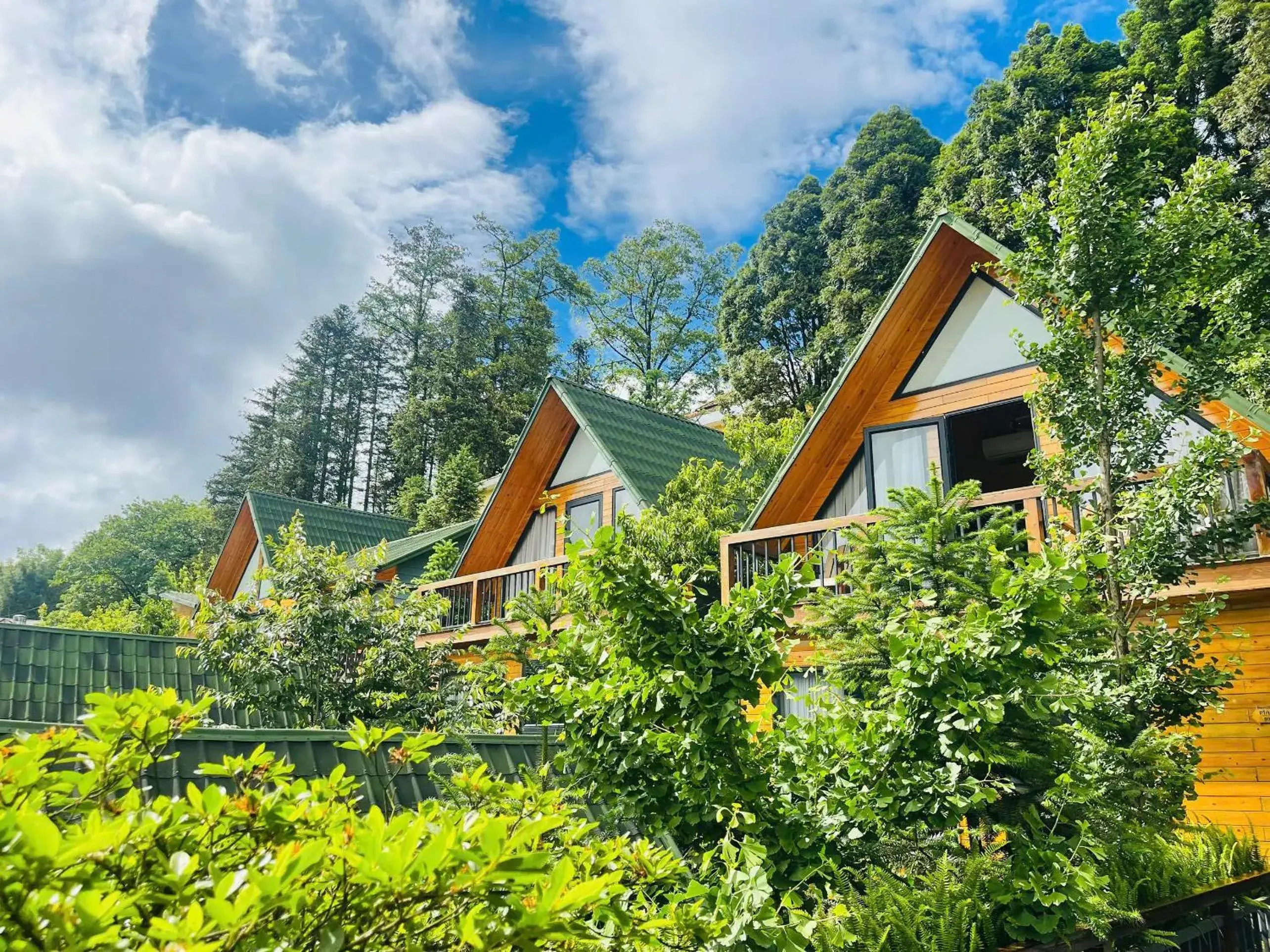 Standard Double or Twin Room - single occupancy in Sapa Pine Hill Eco Lodge Standard Double or Twin Room - single occupancy in Sapa Pine Hill Eco Lodge