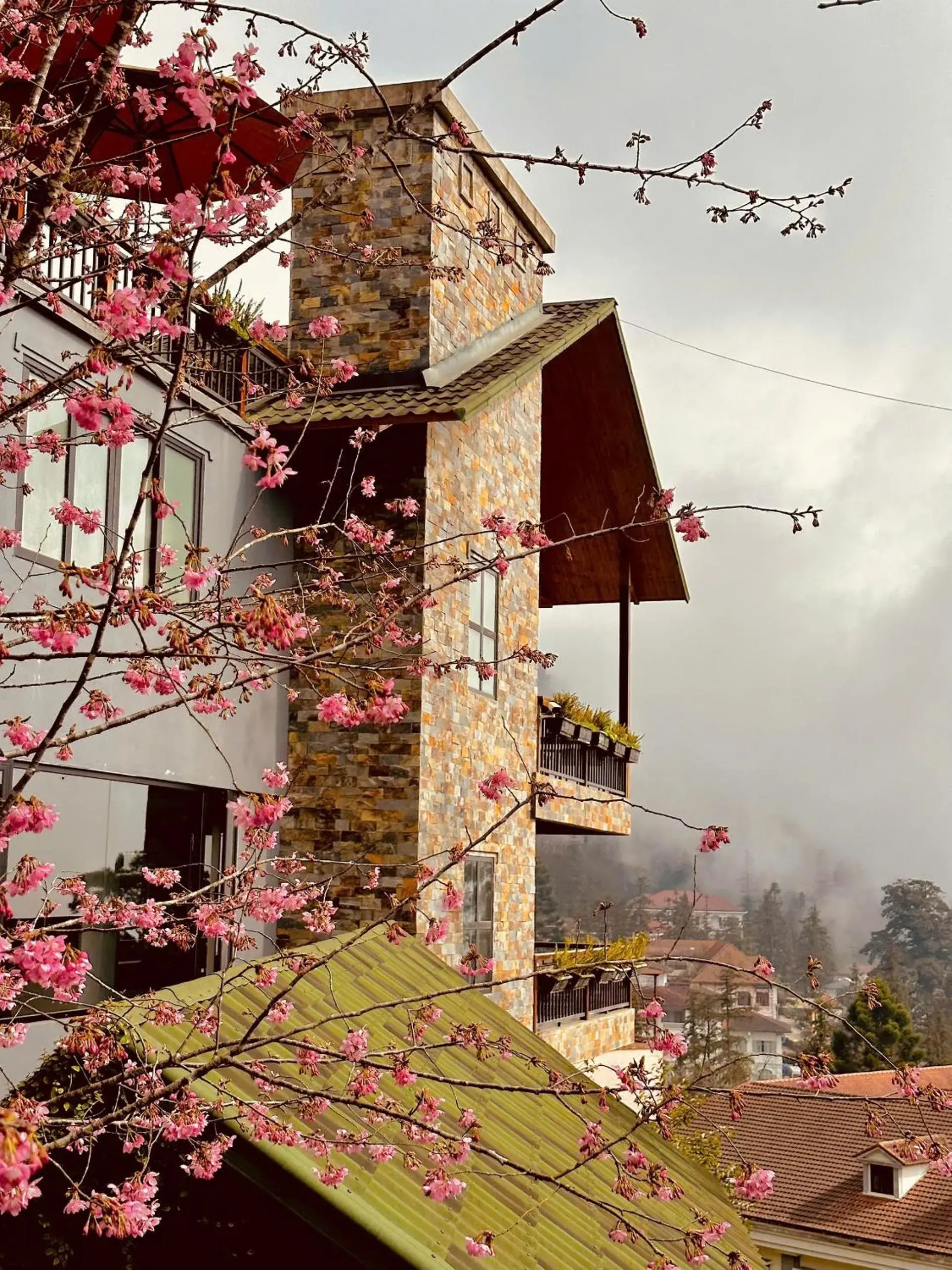 One-Bedroom Villa in Sapa Pine Hill Eco Lodge One-Bedroom Villa in Sapa Pine Hill Eco Lodge