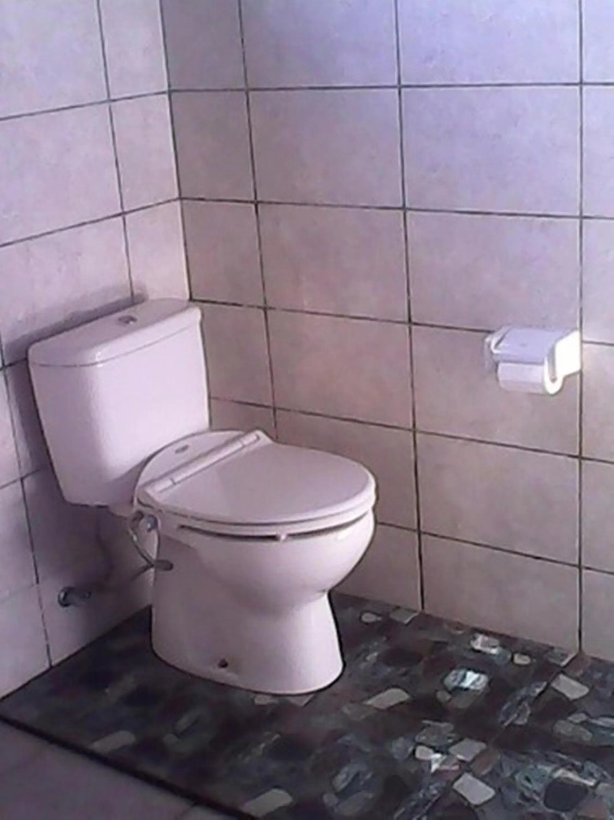 Bathroom in Bali Sari Homestay