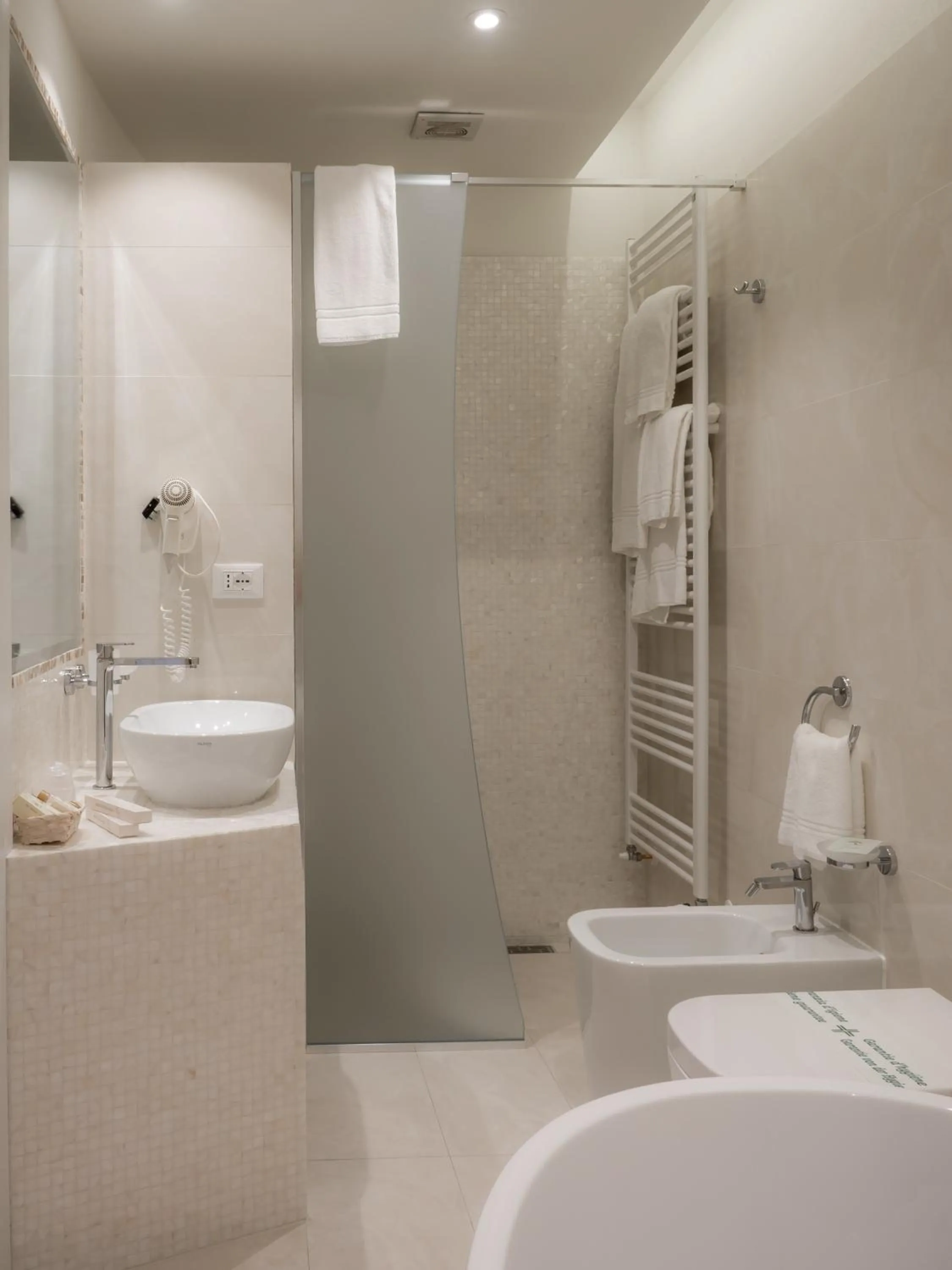 Shower in Hotel Europa