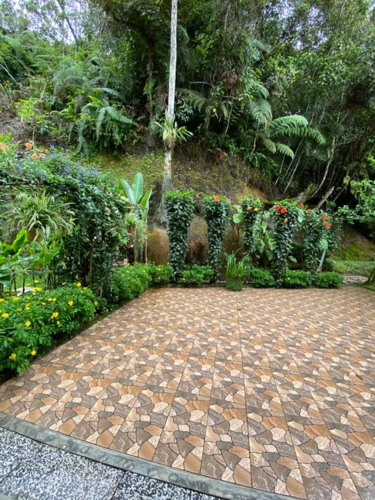 Garden in Highlanders Garden Guesthouse at Arundina Cameron Highlands