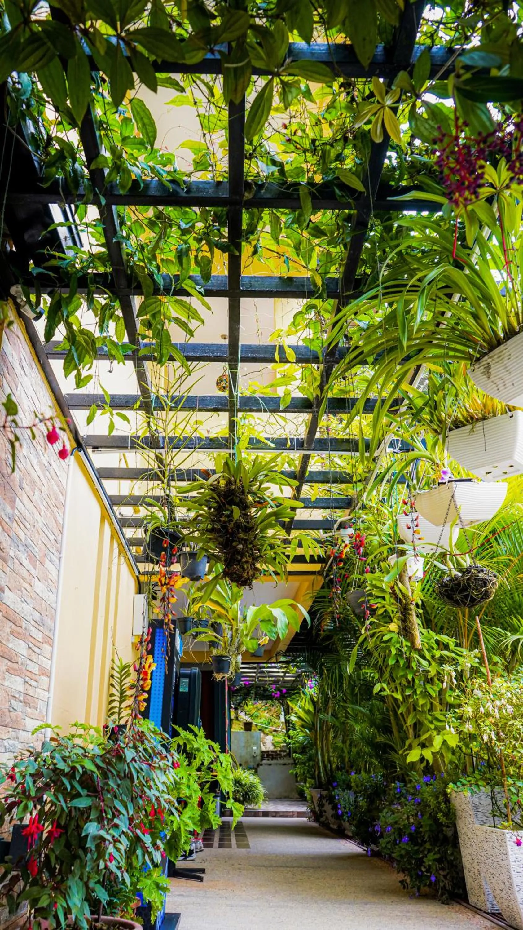 Garden in Highlanders Garden Guesthouse at Arundina Cameron Highlands