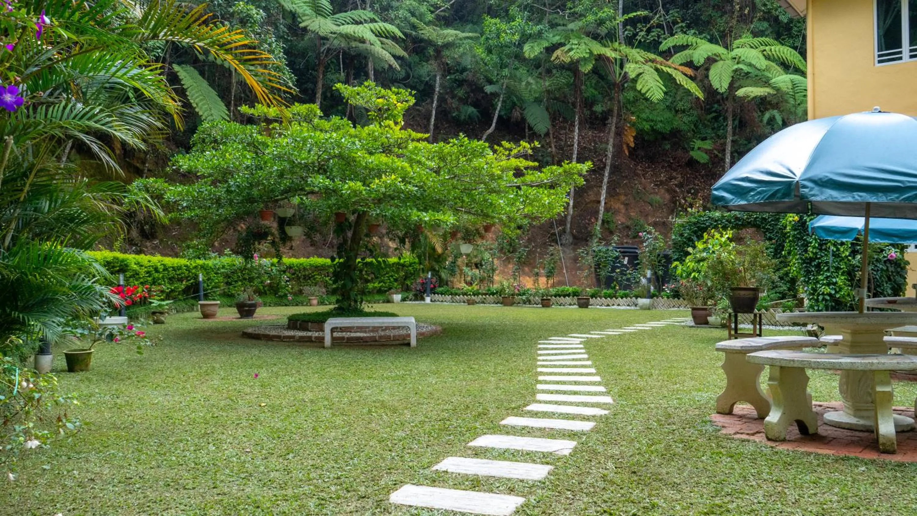 Garden in Highlanders Garden Guesthouse at Arundina Cameron Highlands