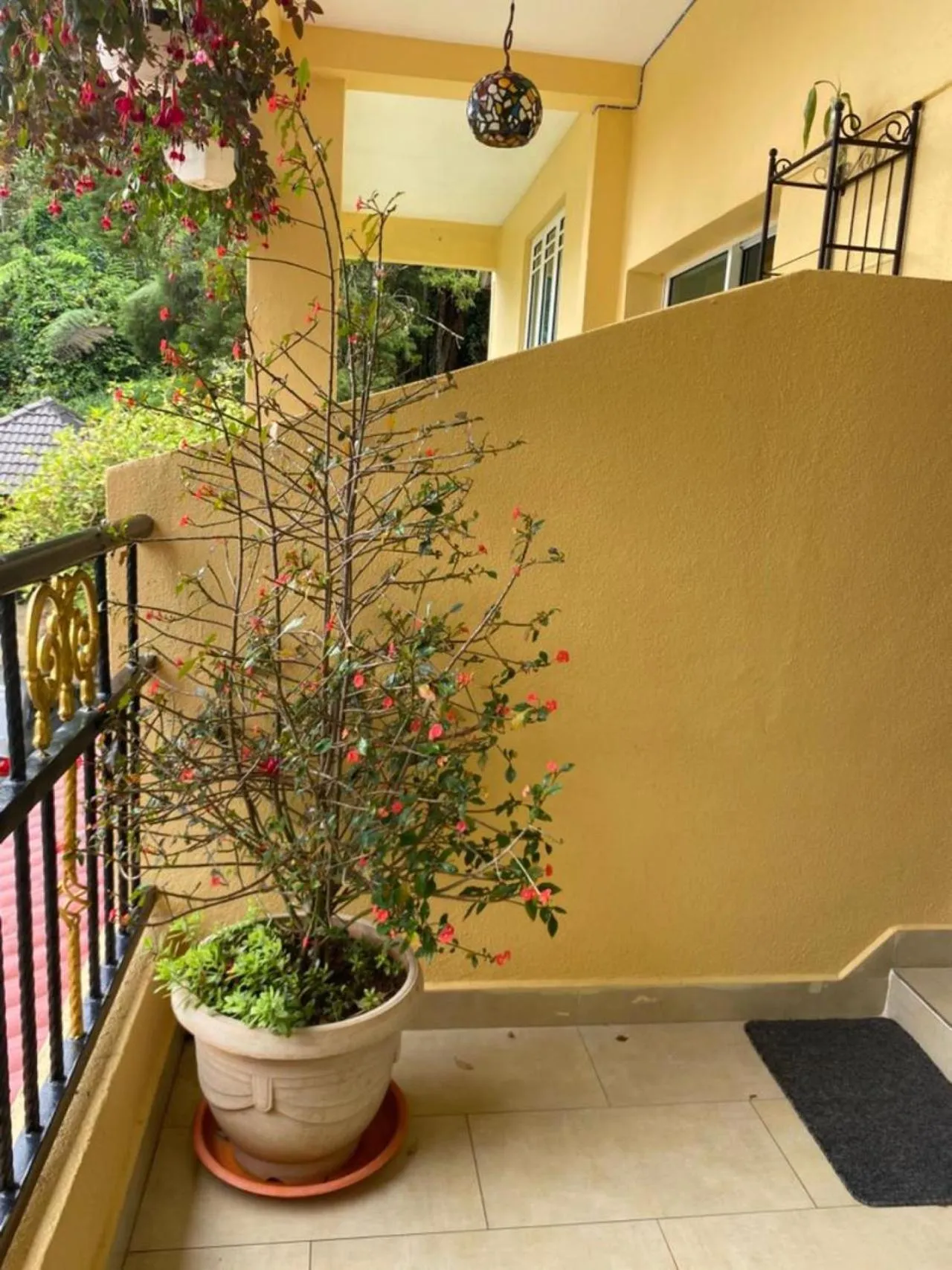 Balcony/Terrace in Highlanders Garden Guesthouse at Arundina Cameron Highlands