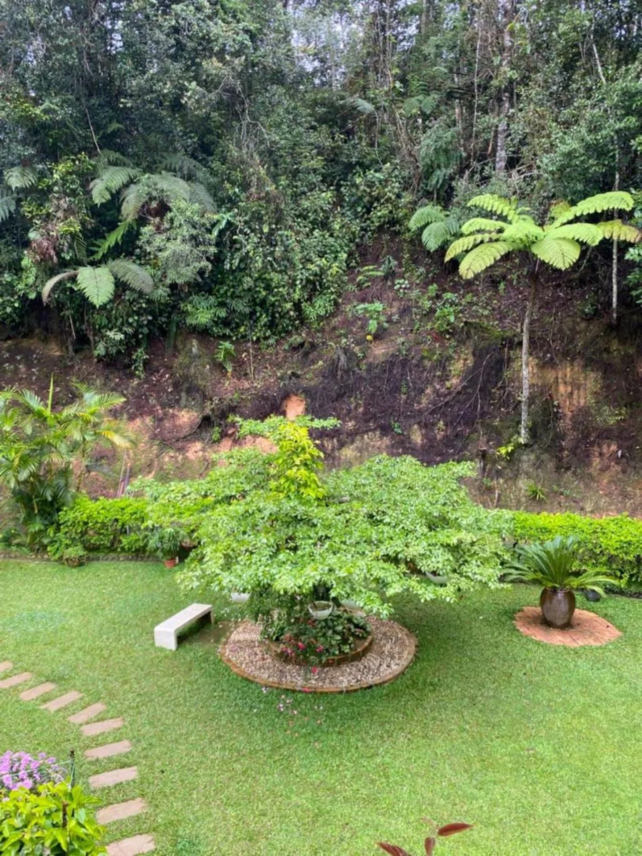 Garden in Highlanders Garden Guesthouse at Arundina Cameron Highlands