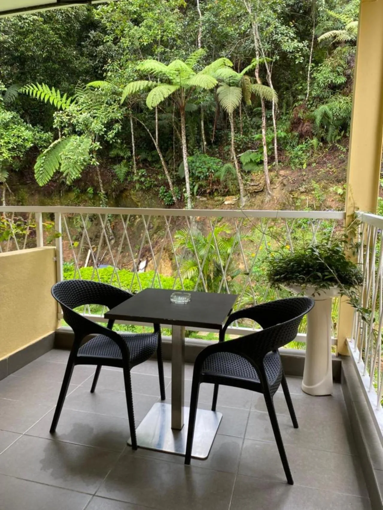 Balcony/Terrace in Highlanders Garden Guesthouse at Arundina Cameron Highlands