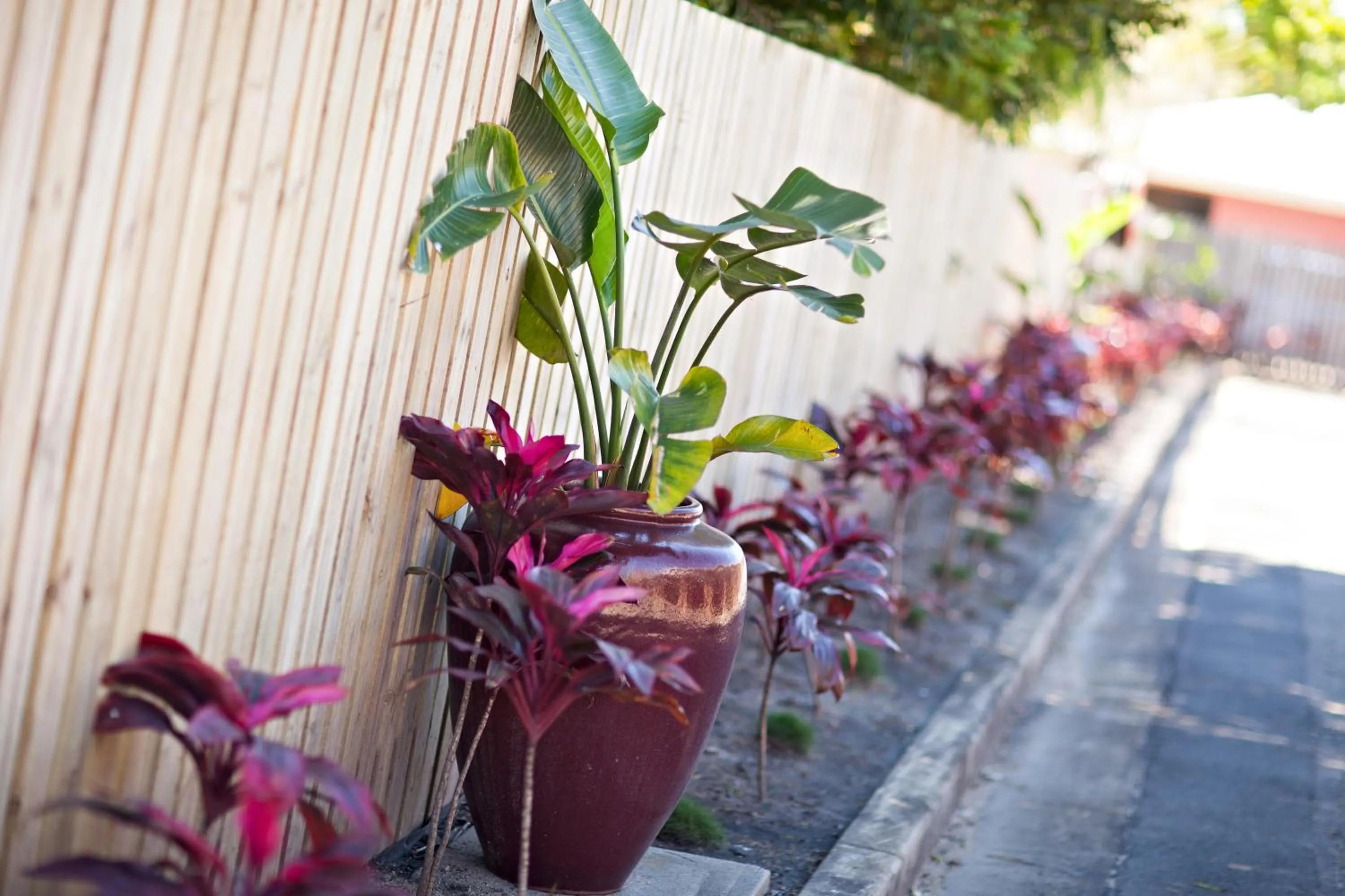 Property building in Sarina Motor Inn