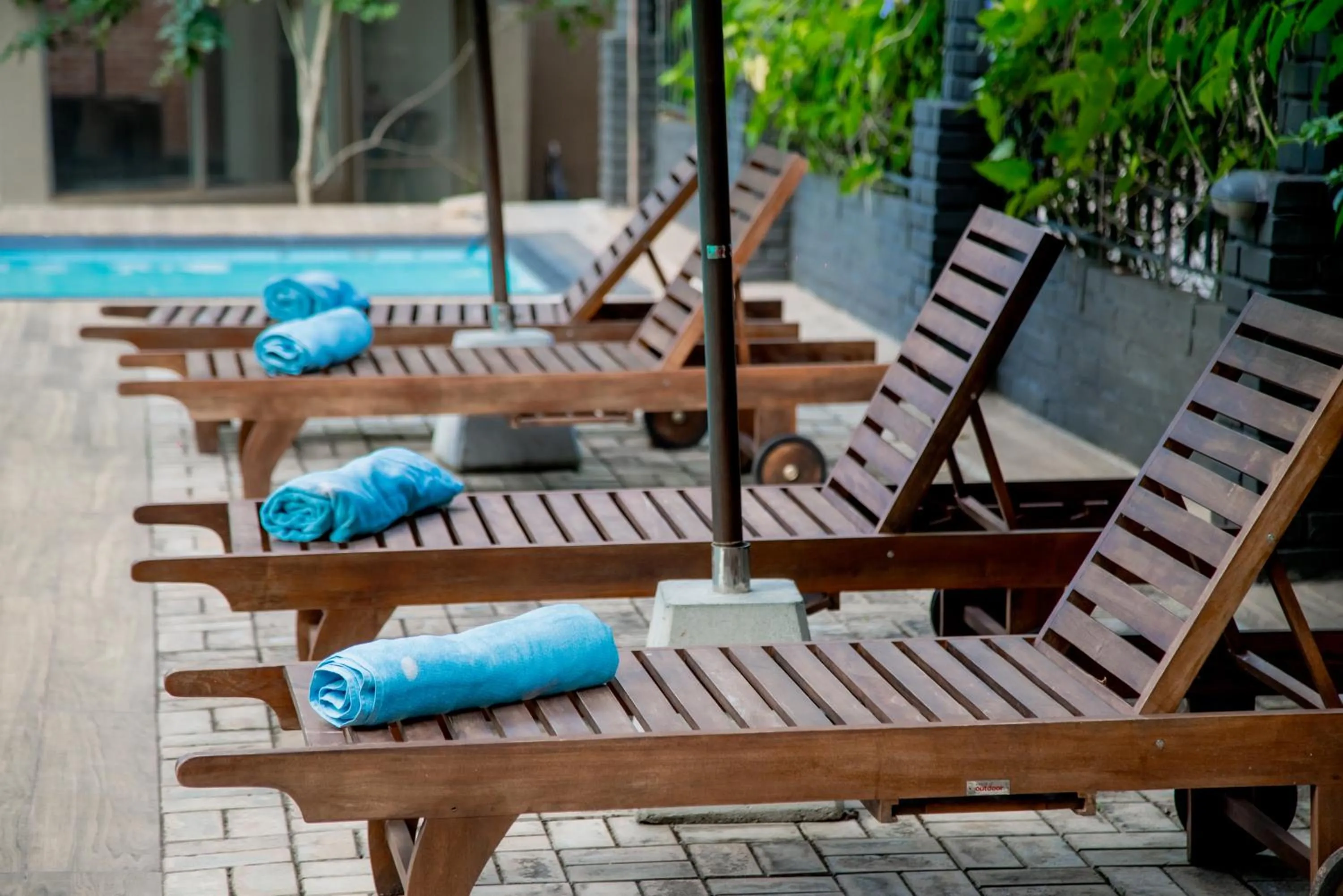 sunbed in Lavendish Country Resort