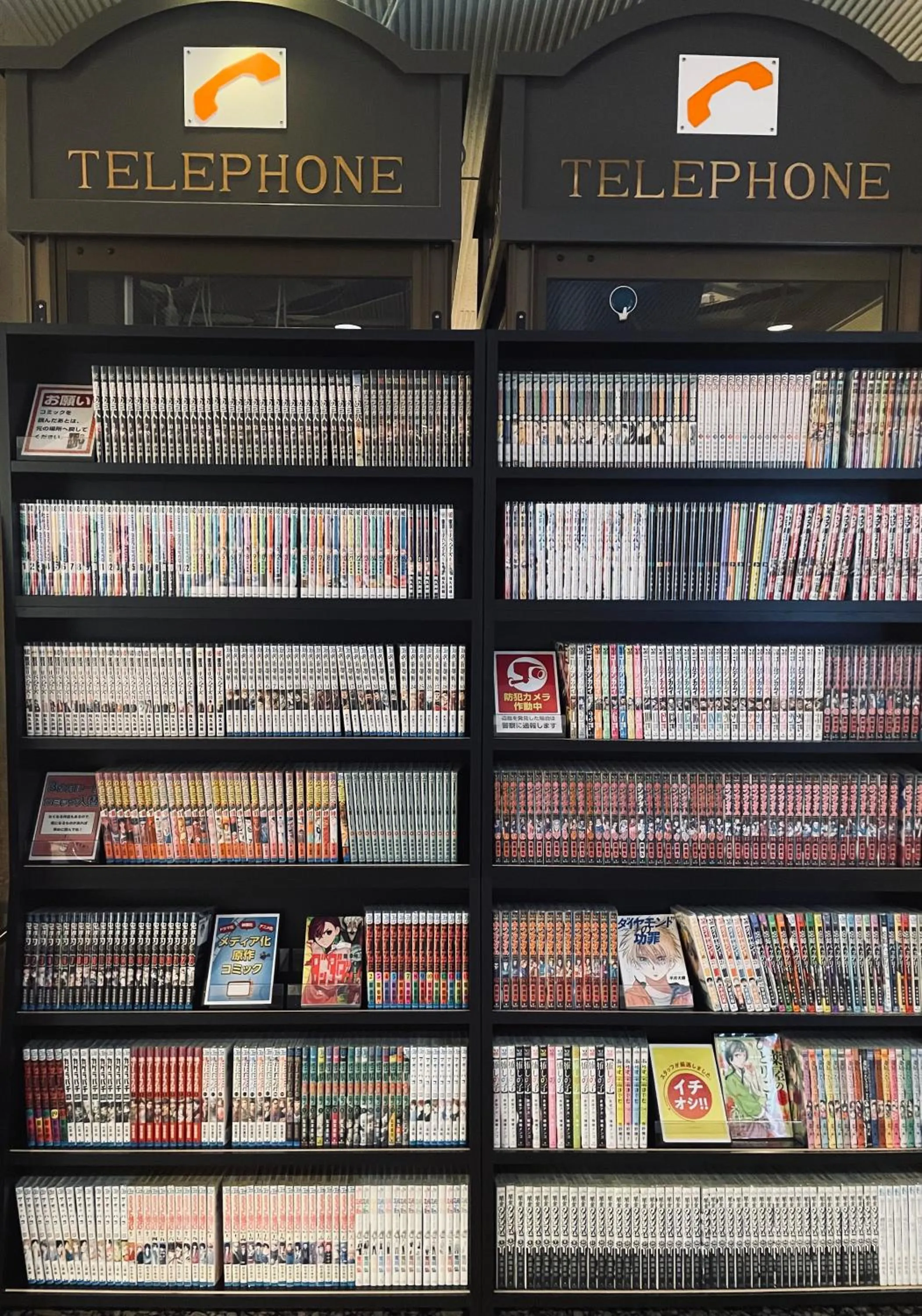 Area and facilities in Hotel Machida Villa