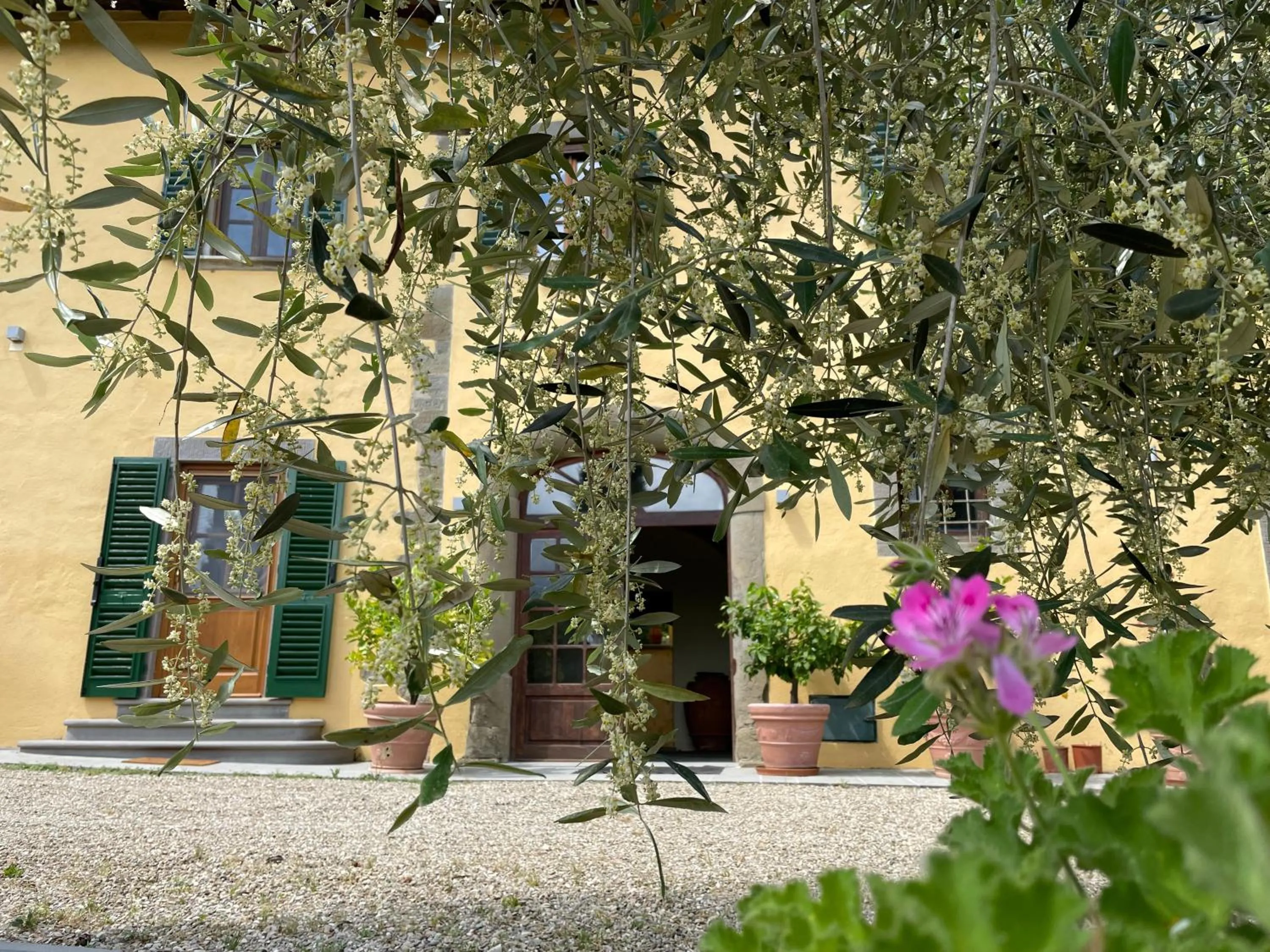 Property building in Villa Rigacci