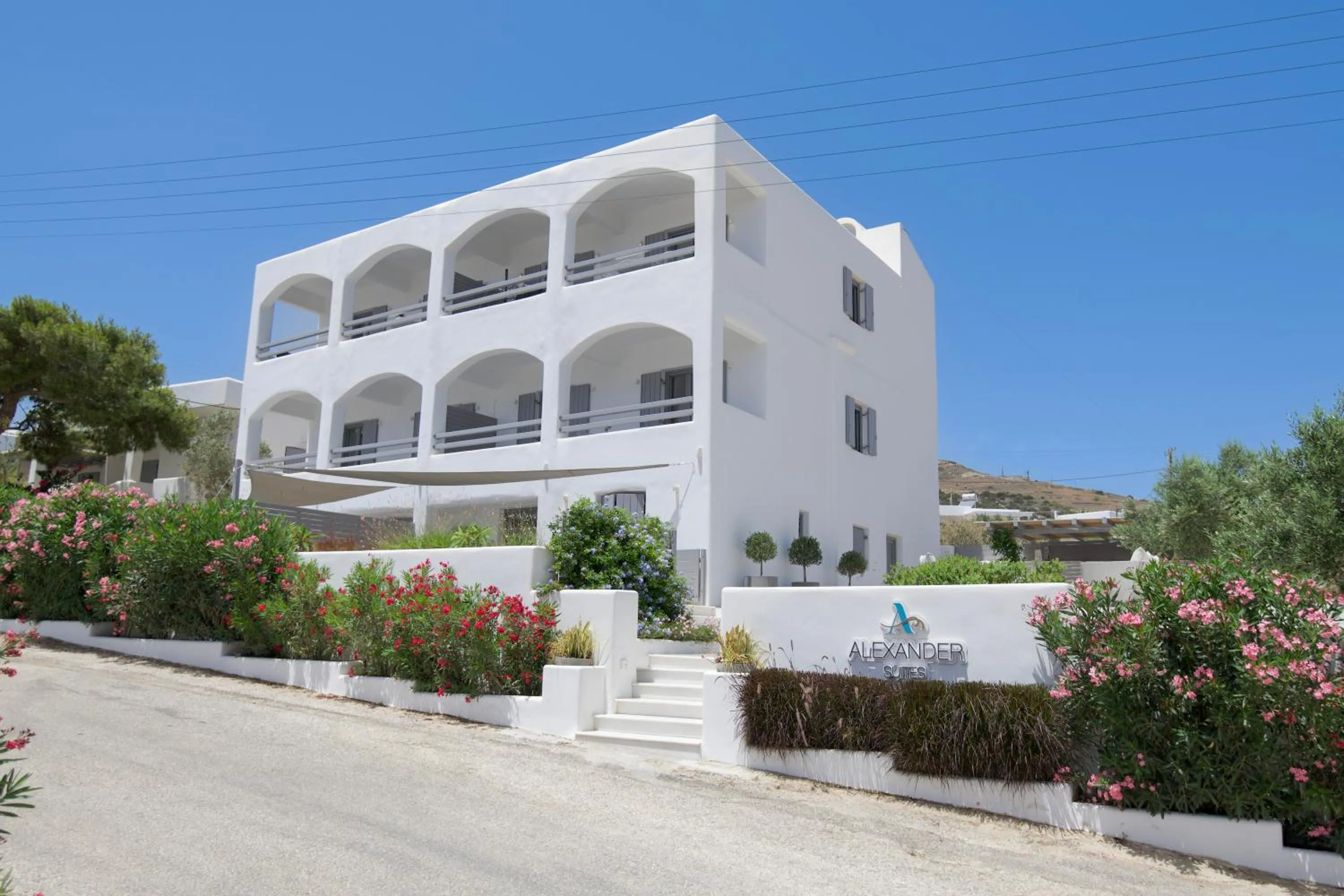 Property building in Alexander Suites