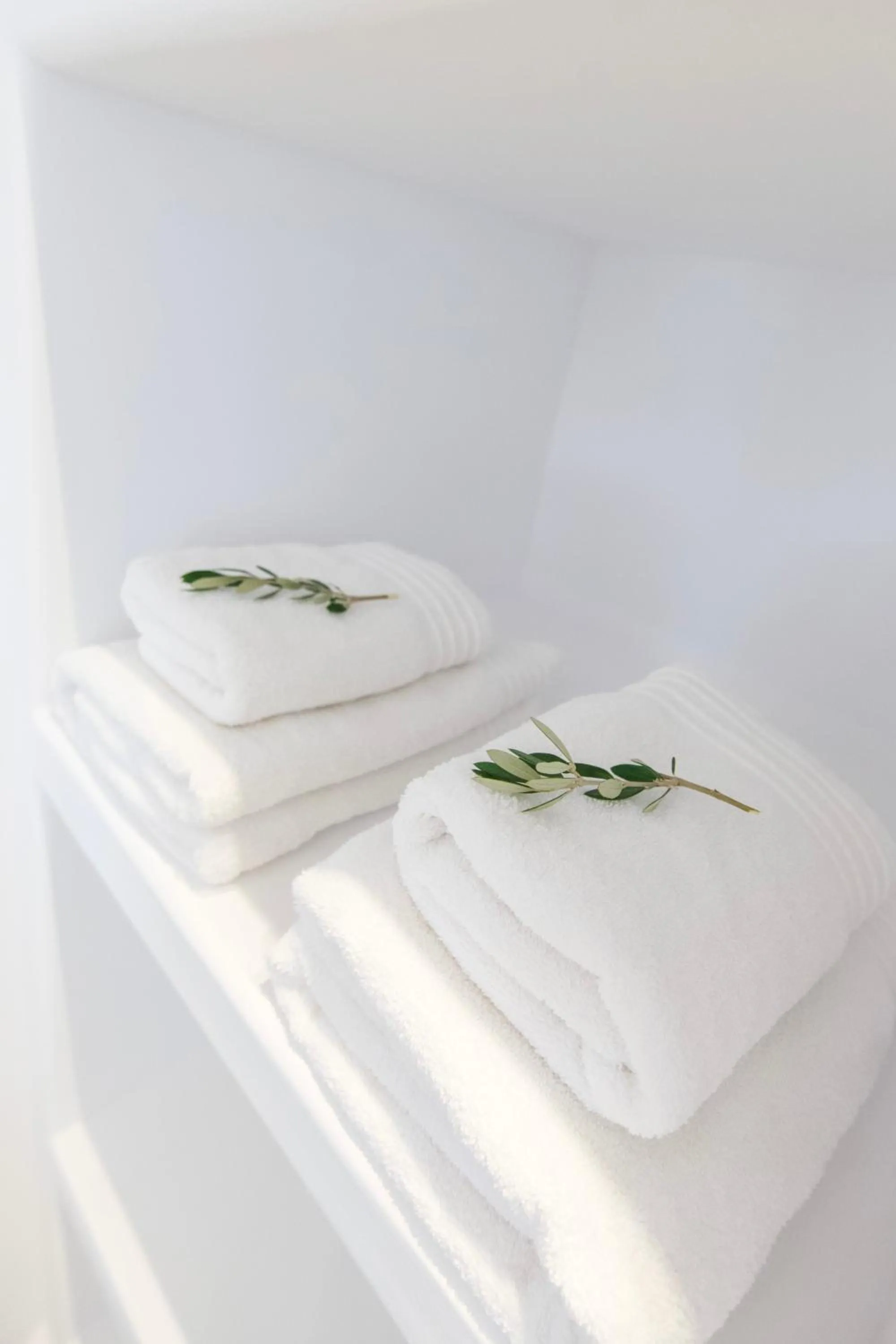 towels, Bed in Alexander Suites