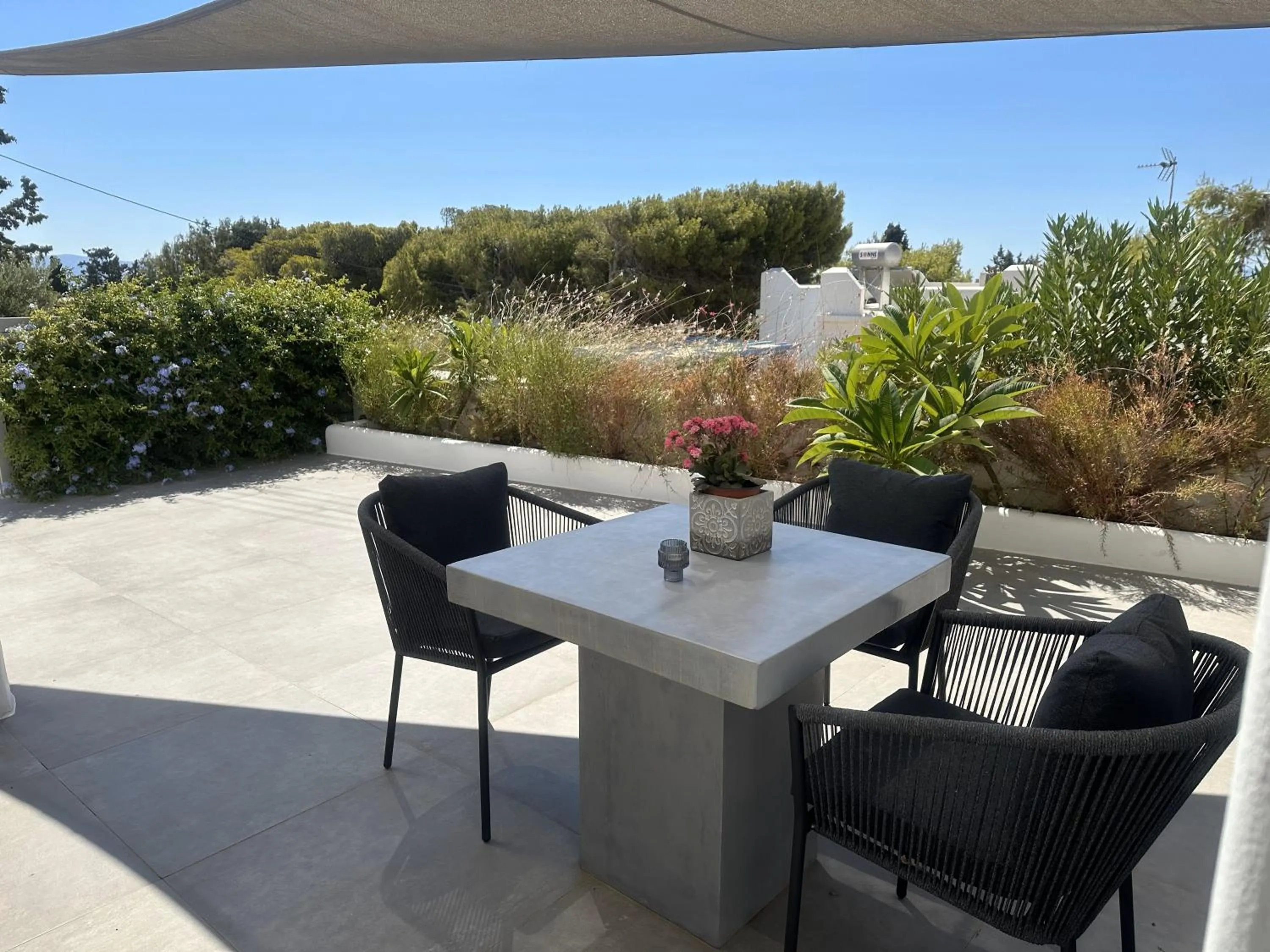 Garden in Alexander Suites