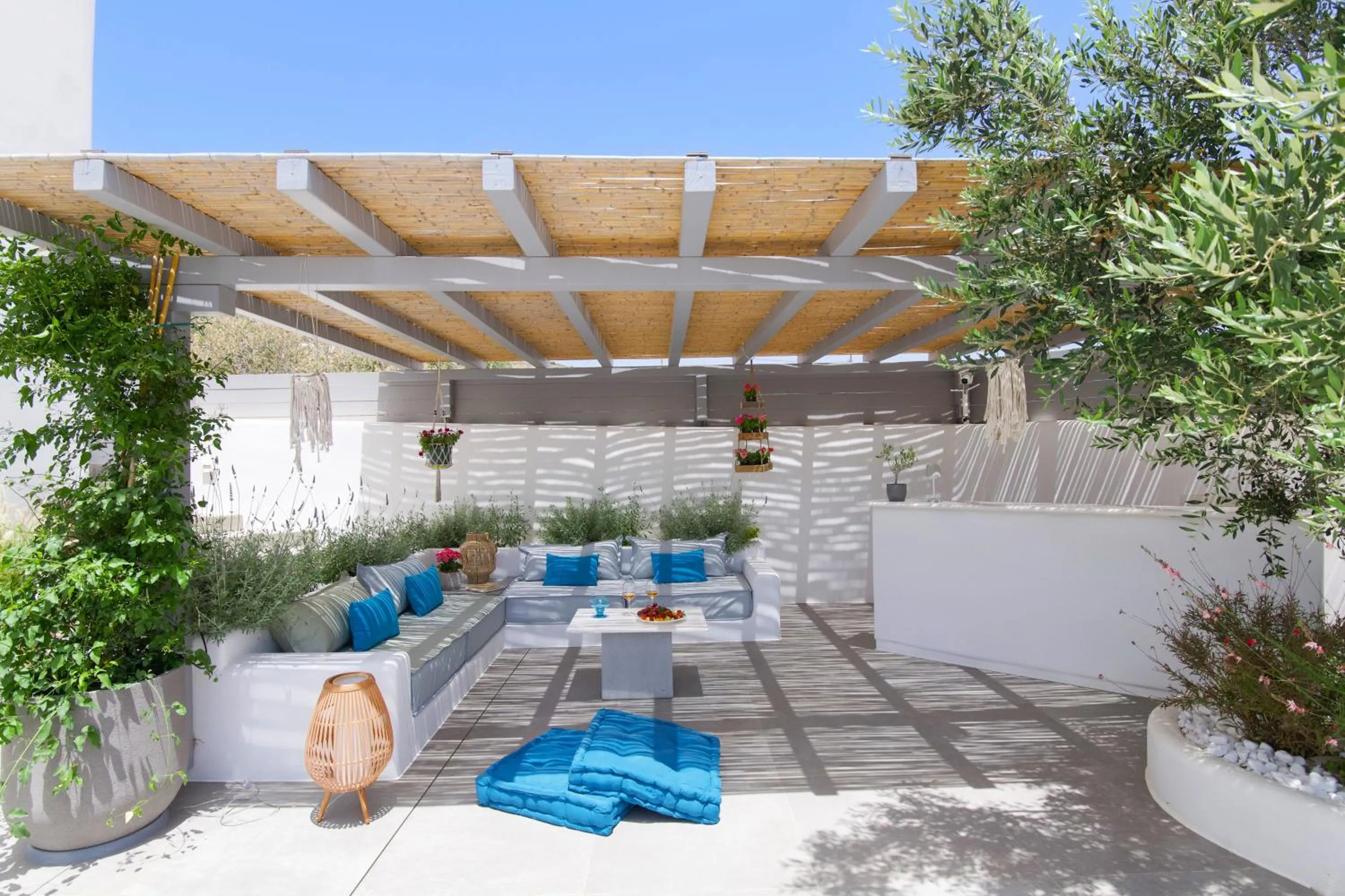 Garden in Alexander Suites