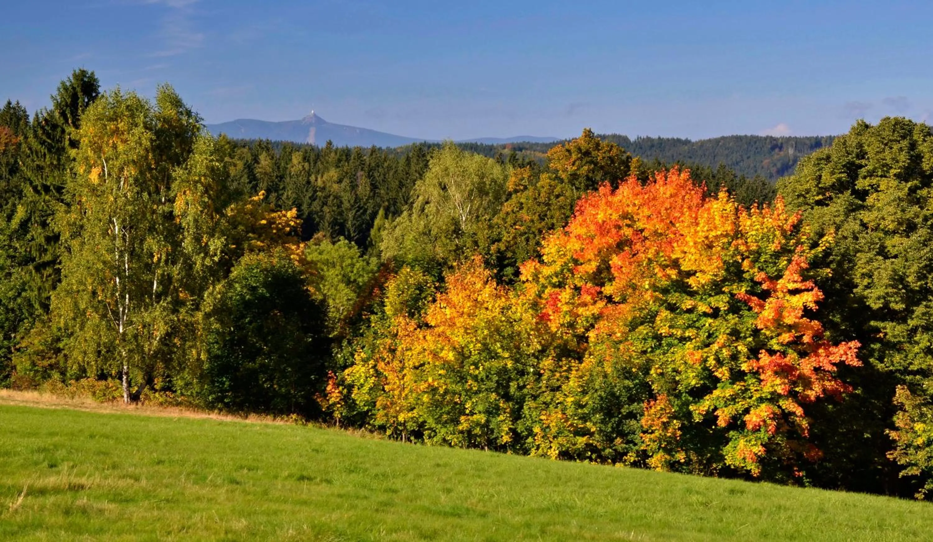 Area and facilities in Horská chata Hubert
