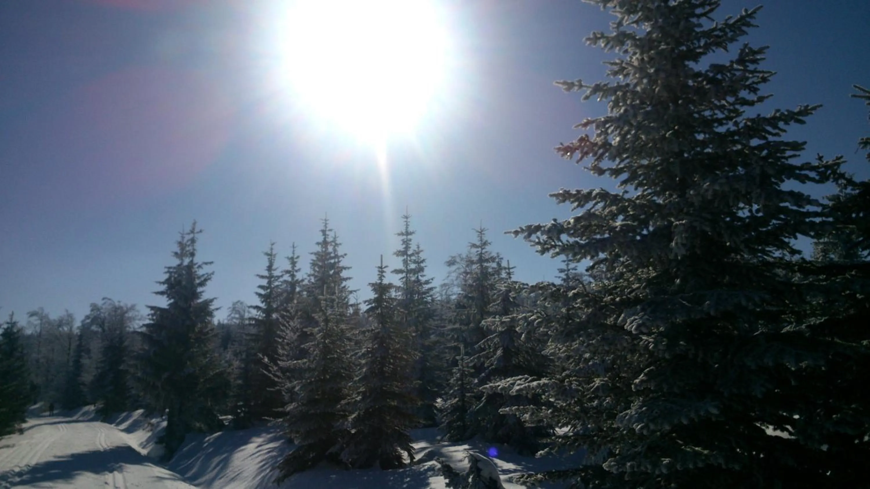 Area and facilities in Horská chata Hubert