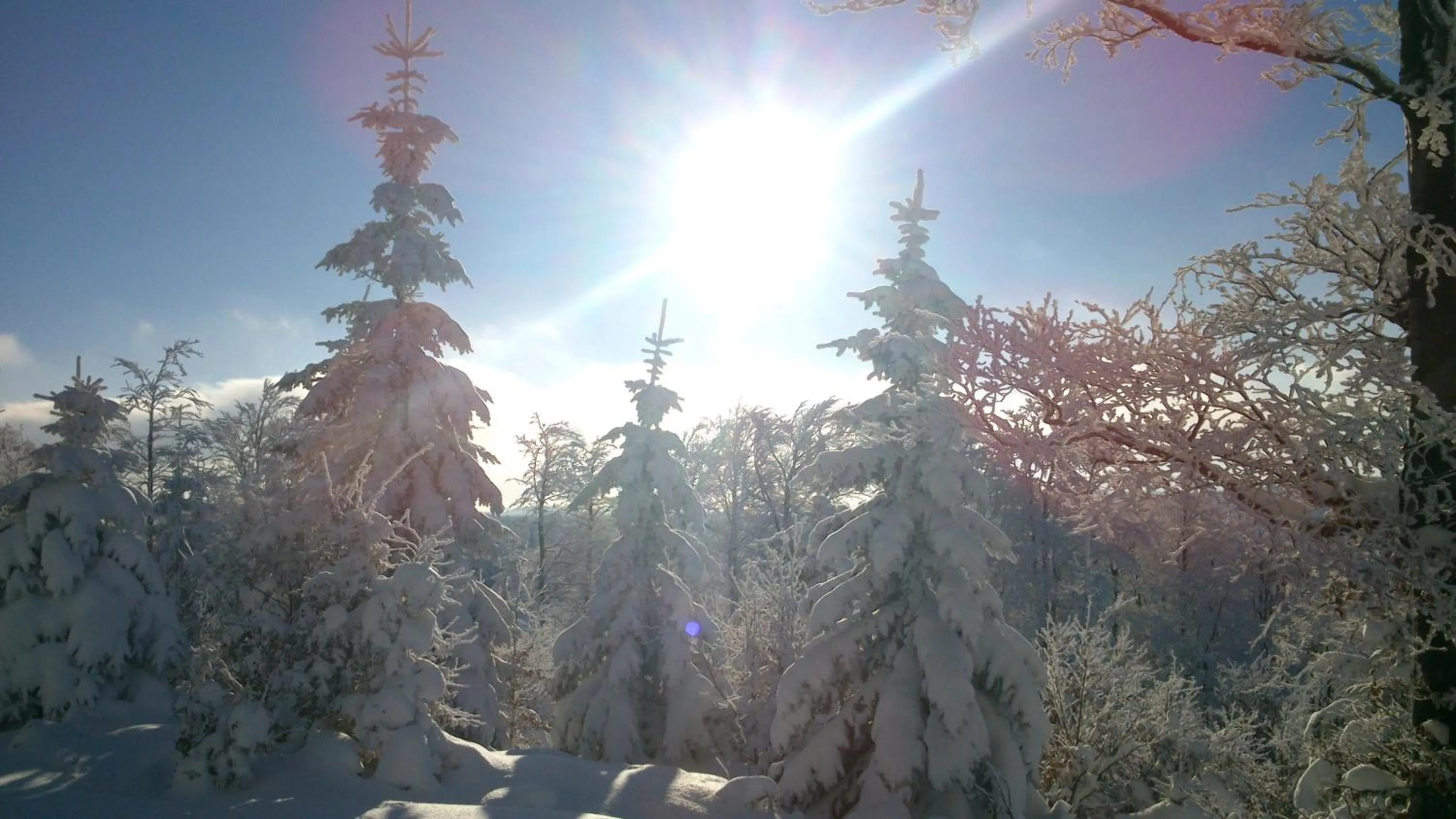 Area and facilities in Horská chata Hubert