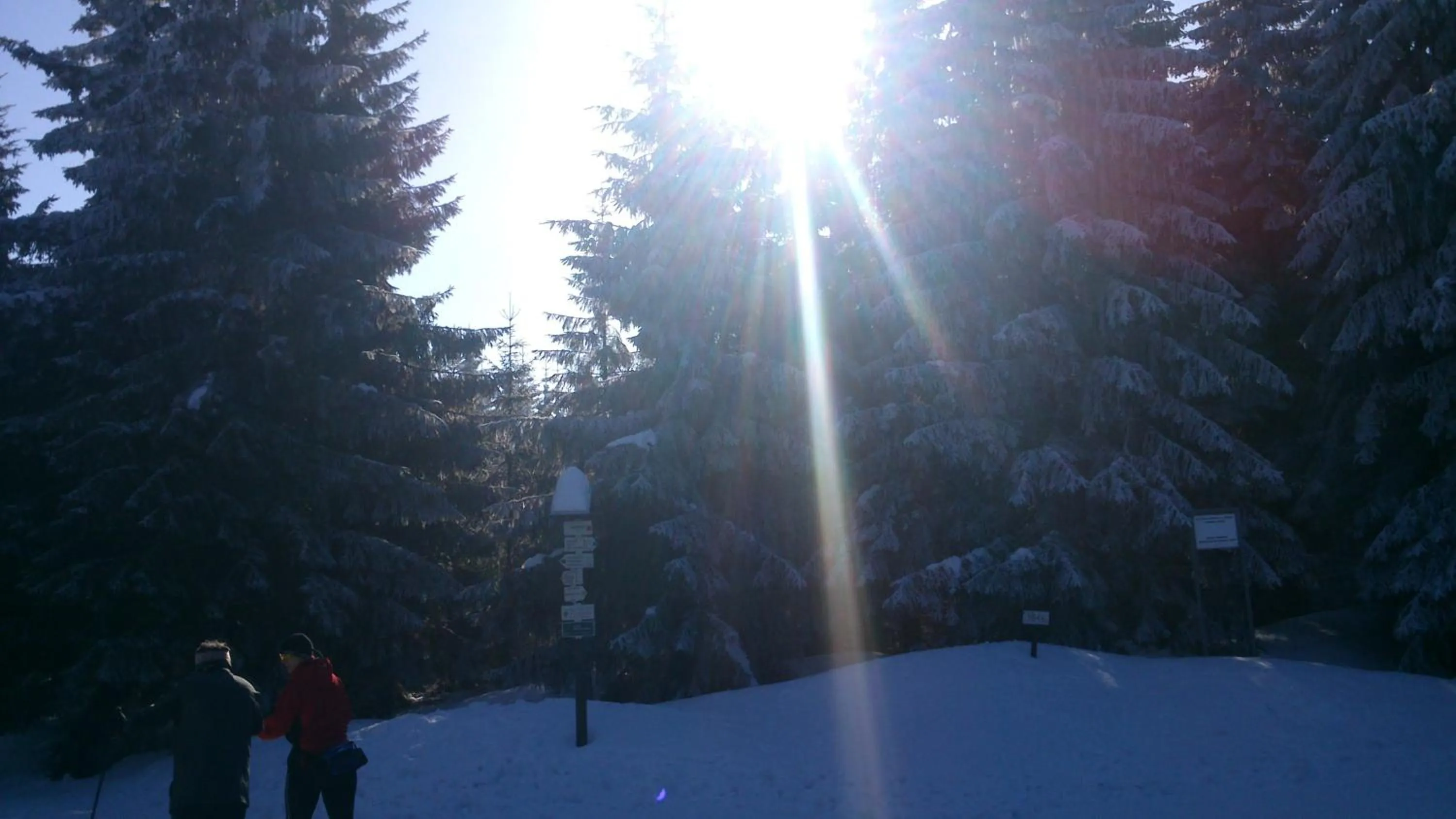 View (from property/room) in Horská chata Hubert