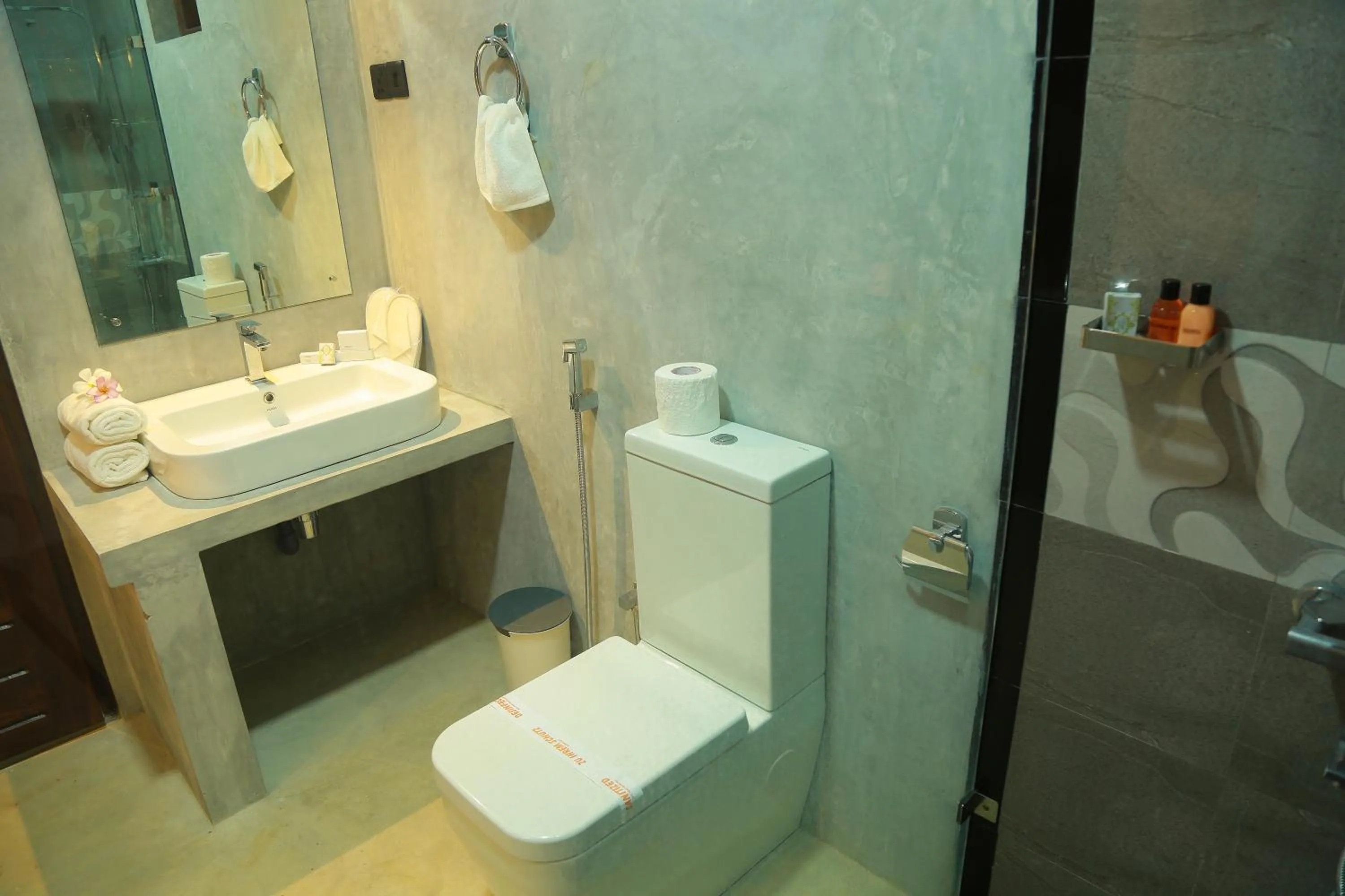 Toilet in Ali Weta Safari Resort