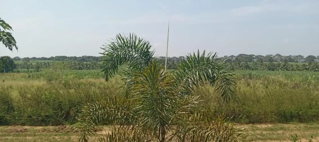 Day in Ali Weta Safari Resort