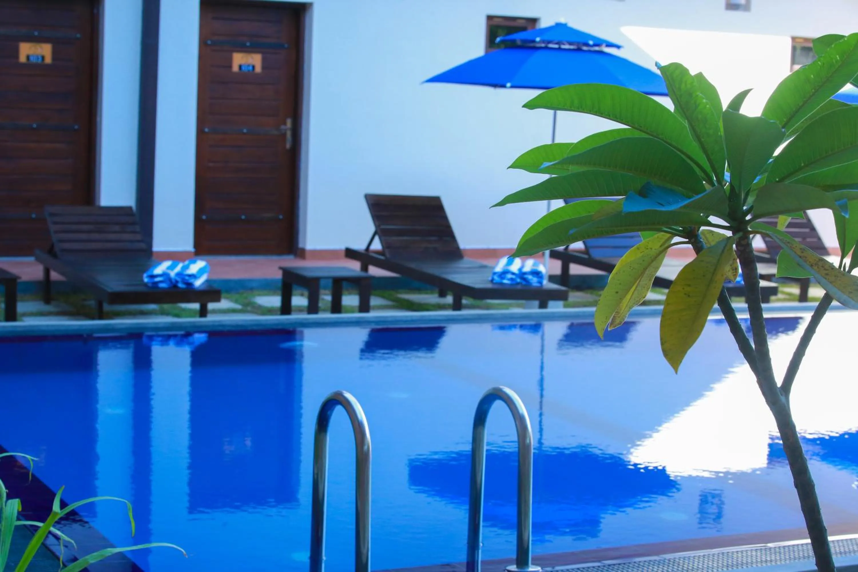 Day in Ali Weta Safari Resort