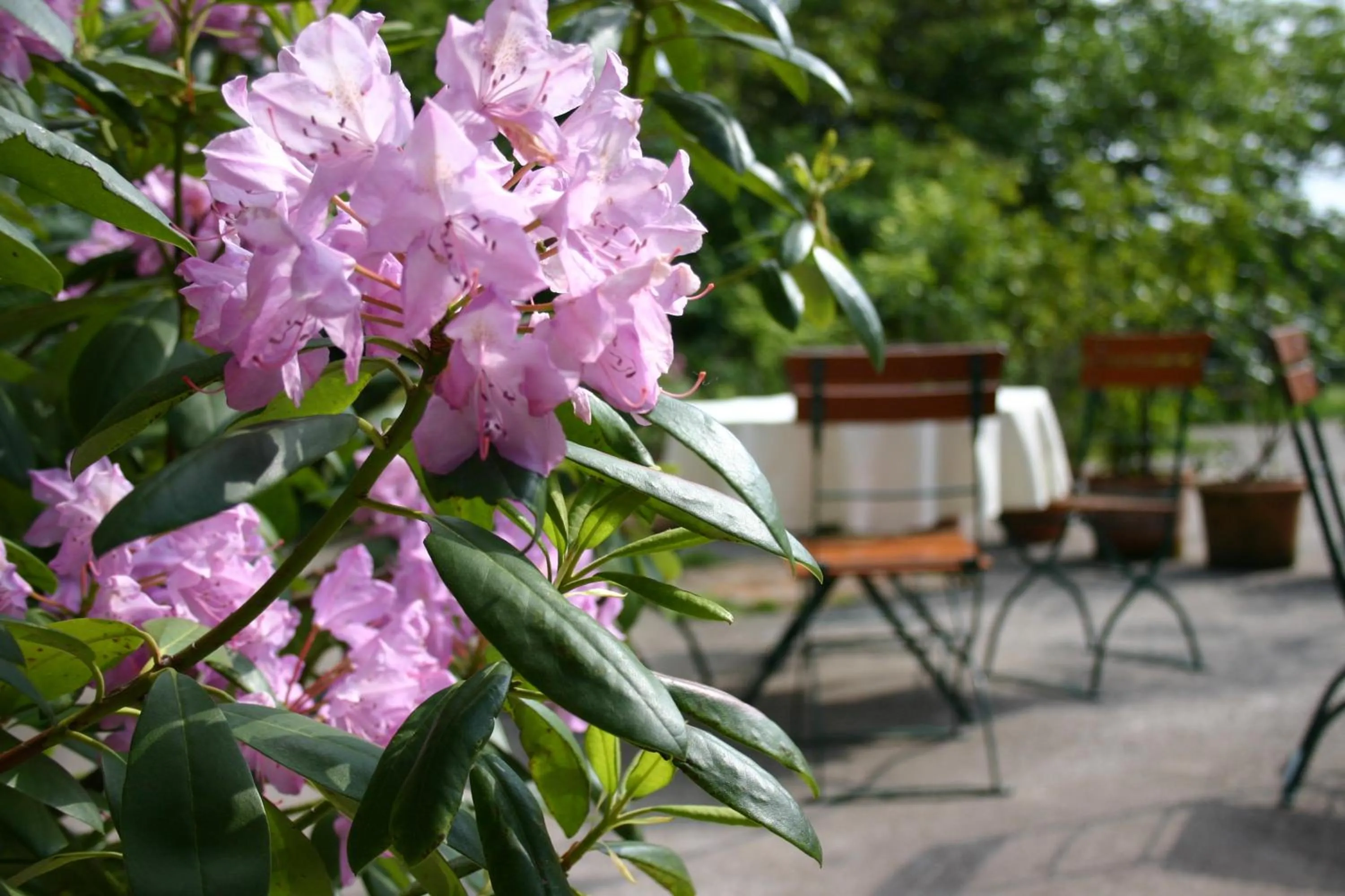 Spring in Beim Huber in Linden