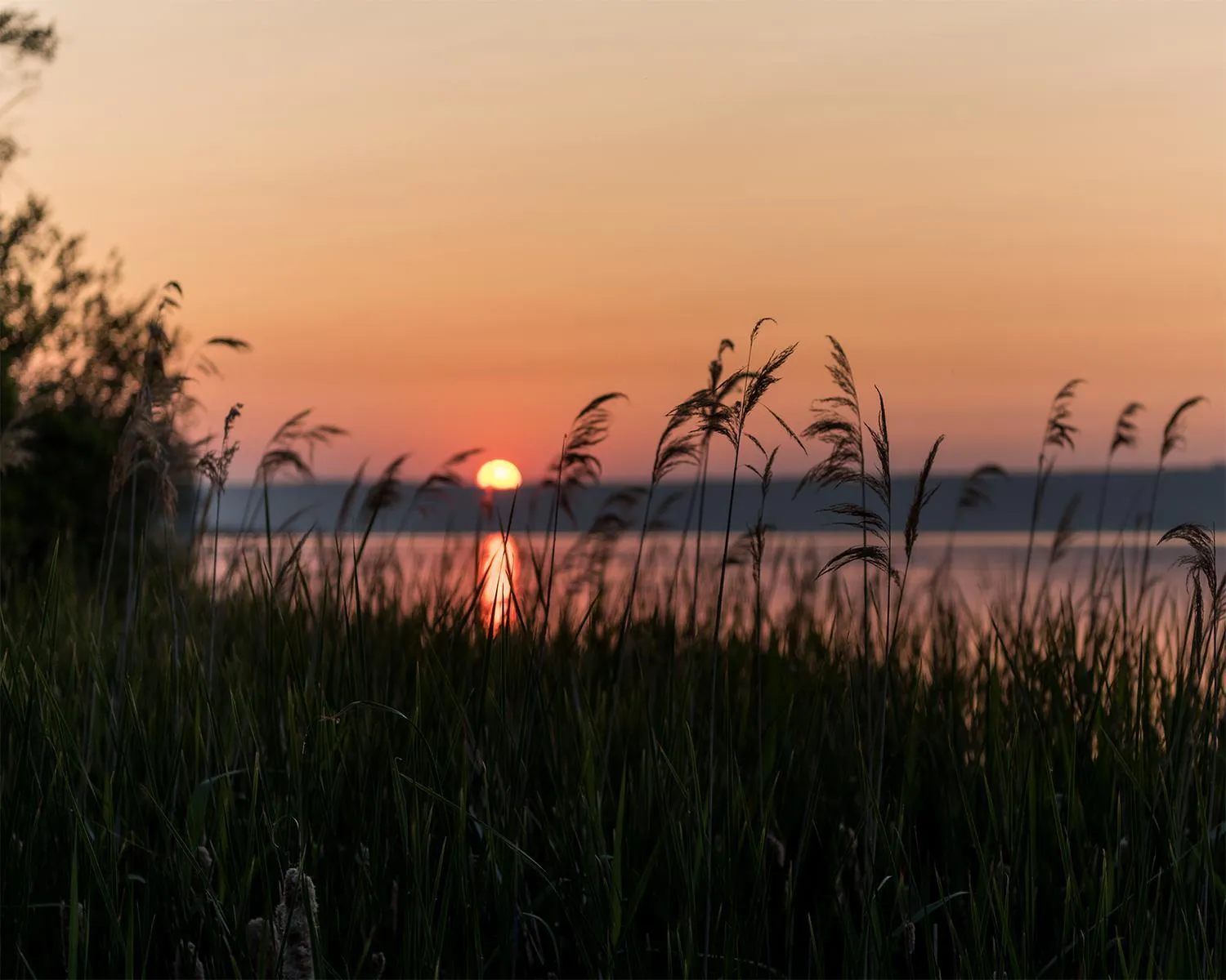Lake view in aja Bad Saarow