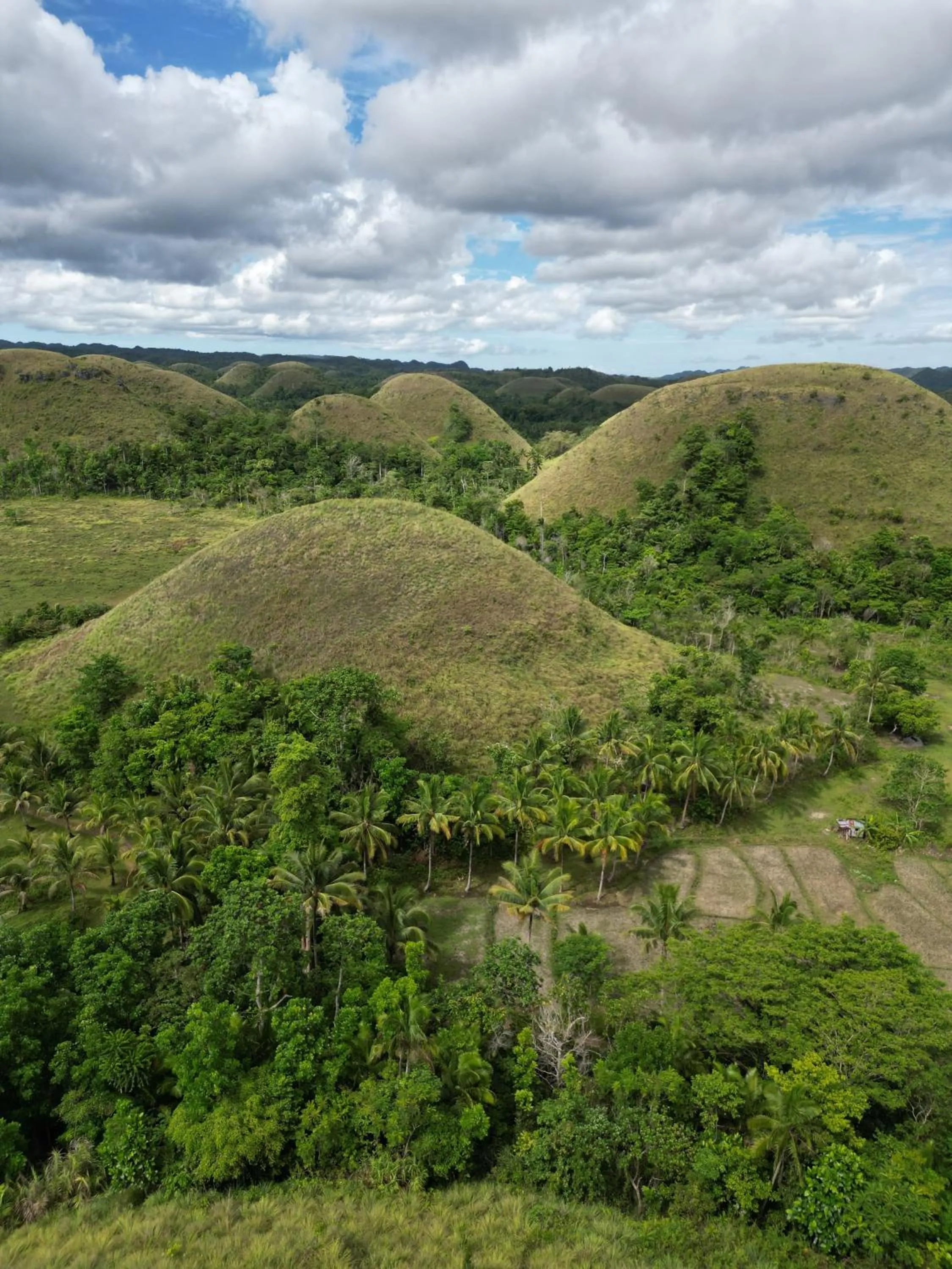 CASA AGUELO Chocolate Hills